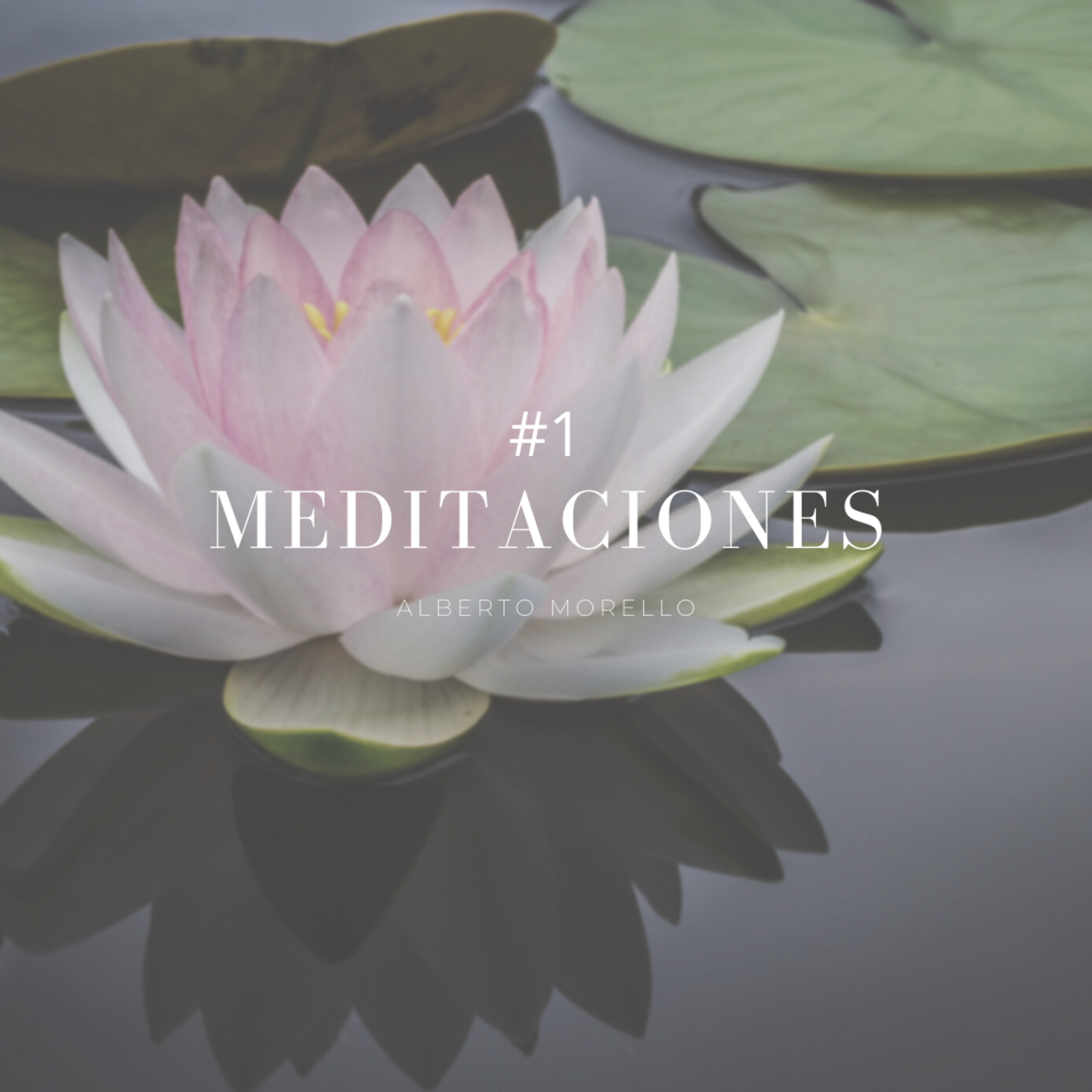 Meditación # 1 episode artwork