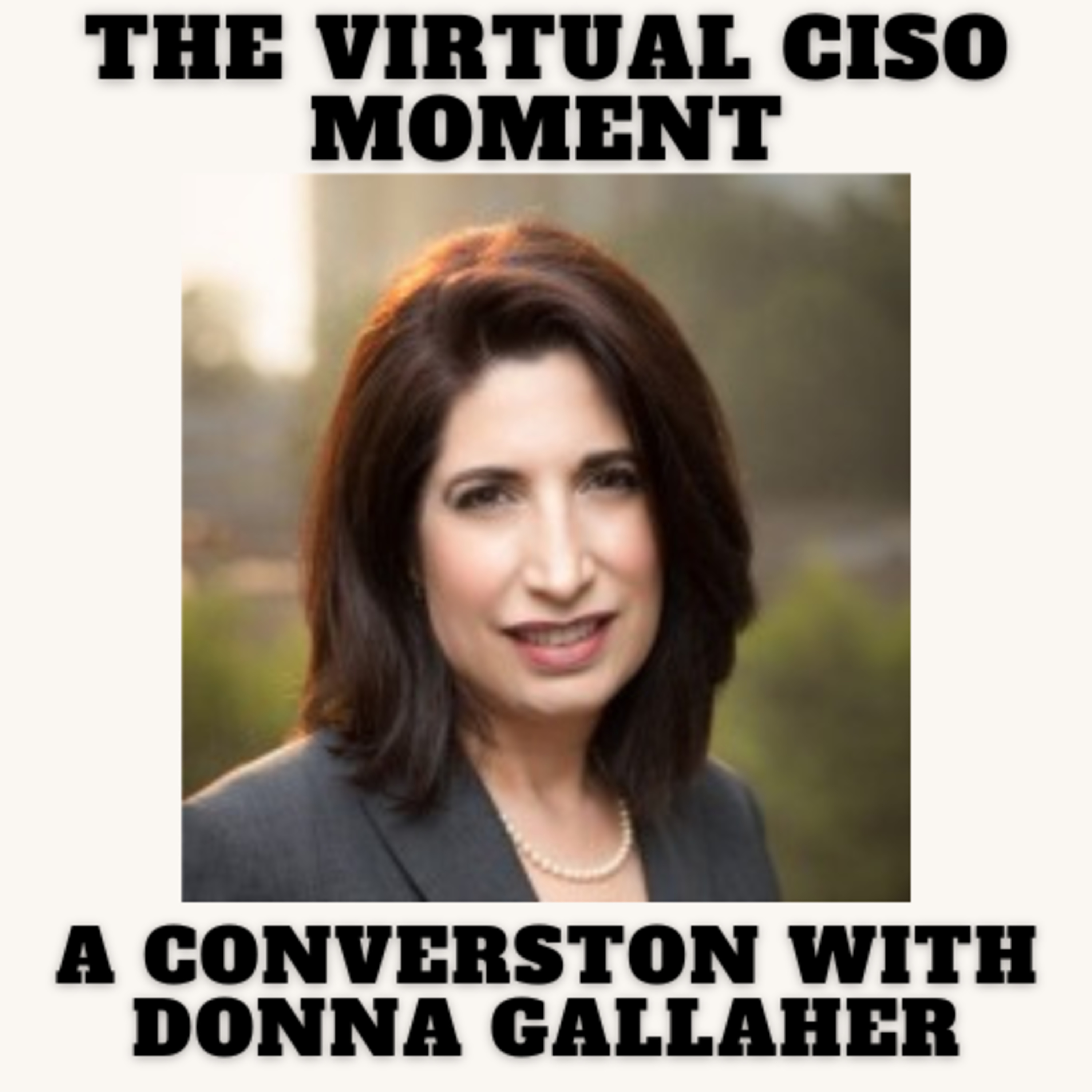 The Virtual CISO Moment S4E39 - A Conversation with Donna Gallaher episode artwork
