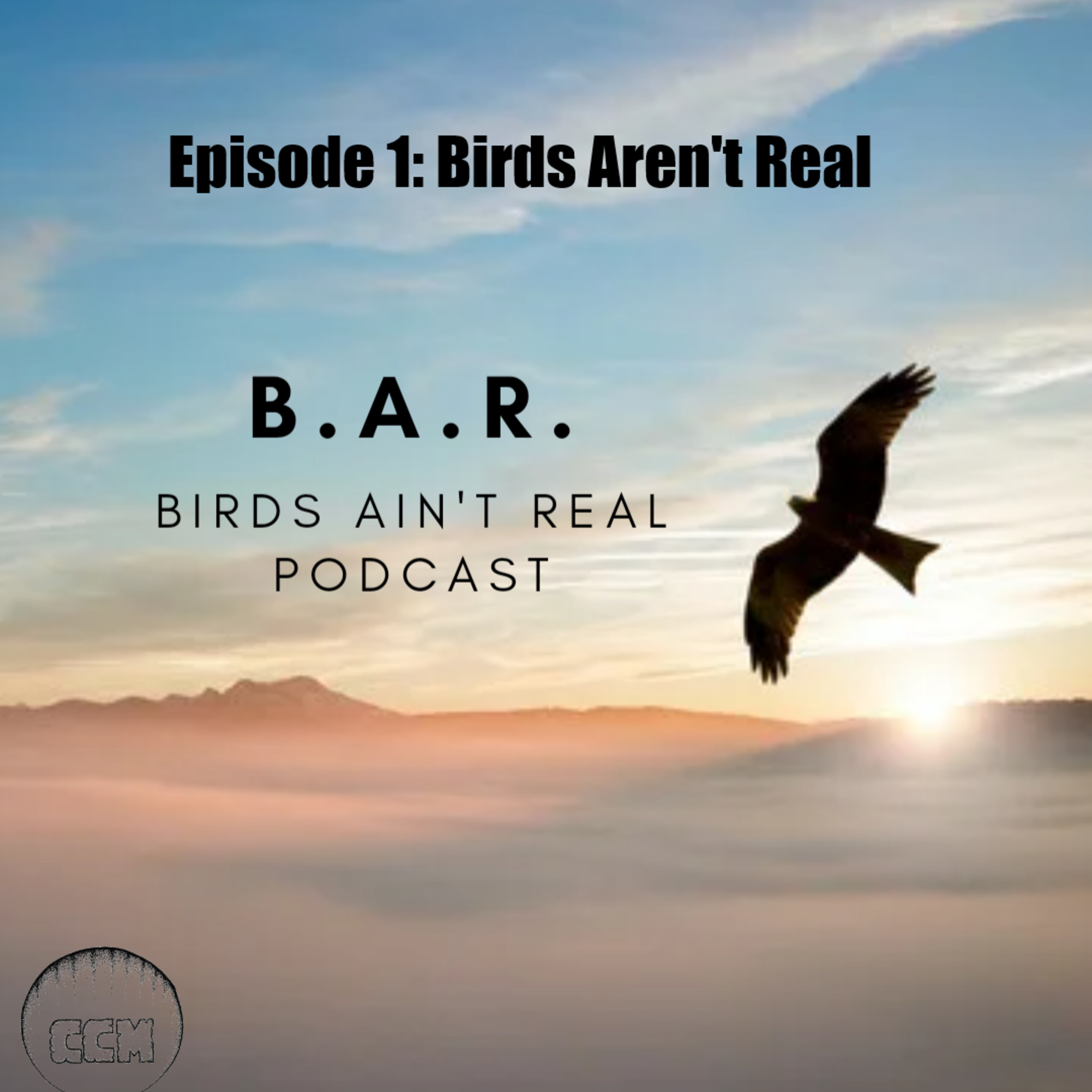 Birdz Ain\'t Real