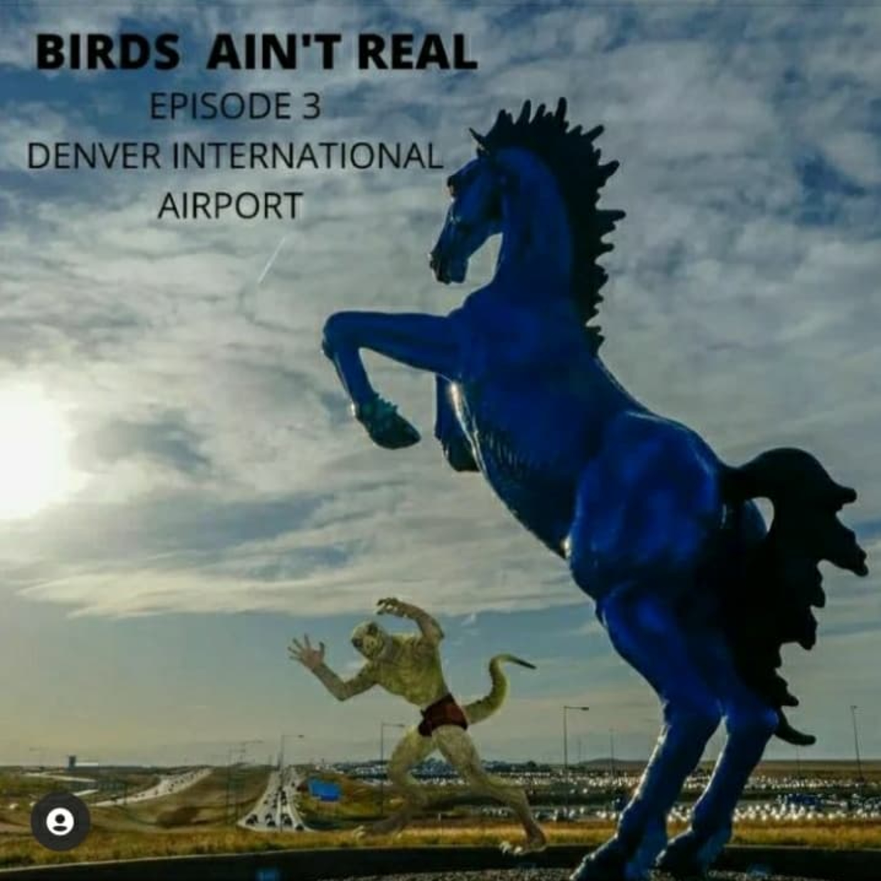 Birdz Ain\'t Real