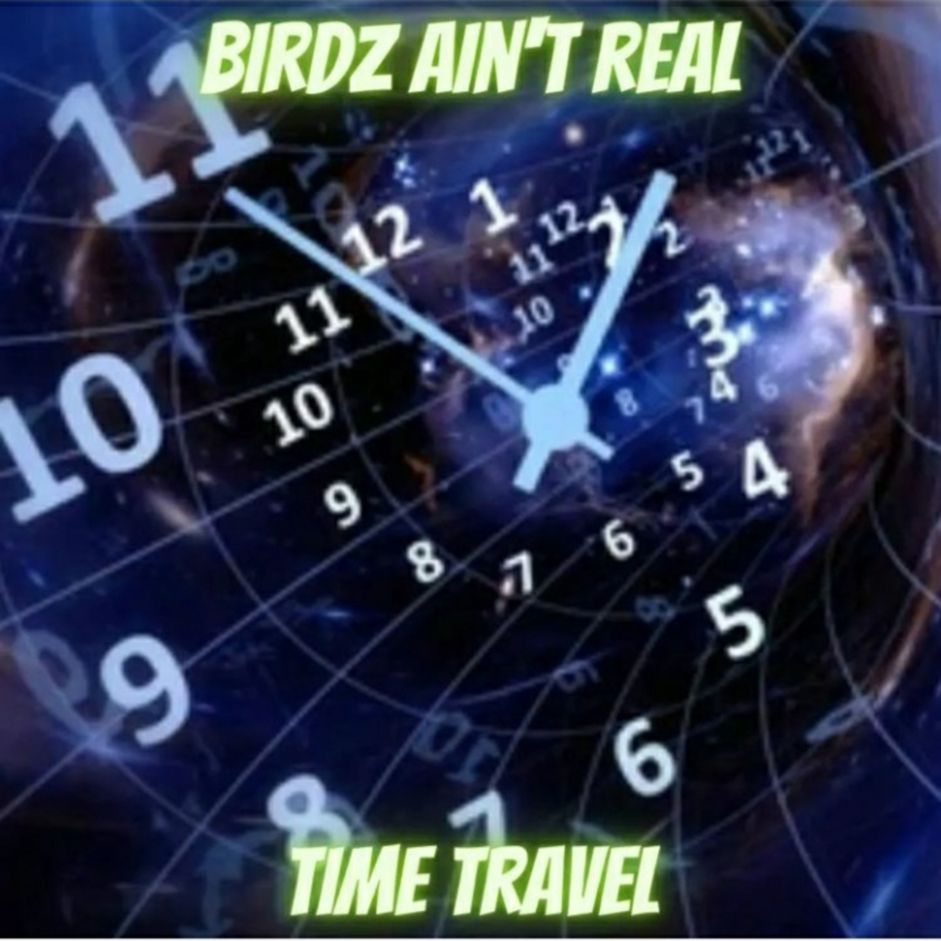 Birdz Ain\'t Real