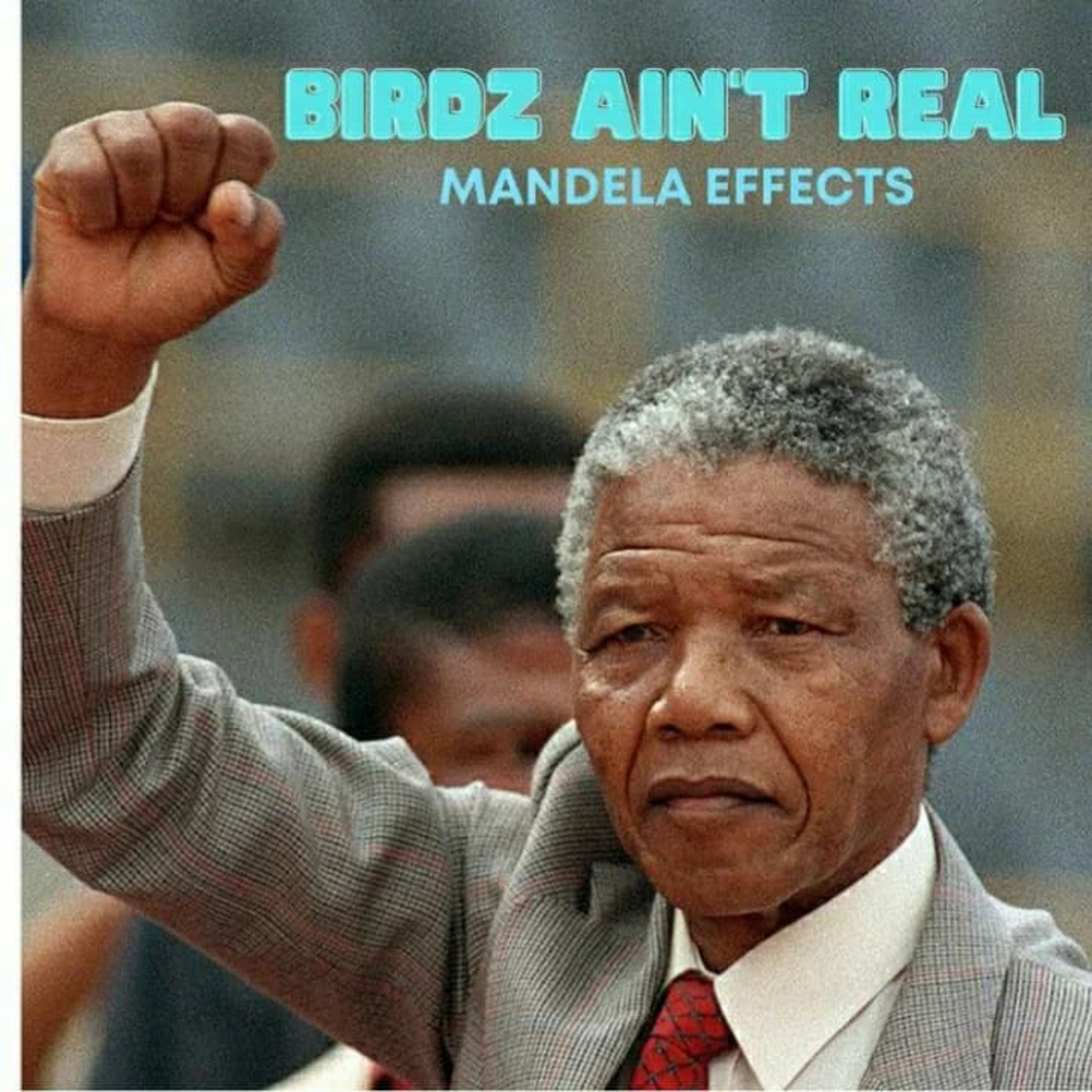 Birdz Ain\'t Real