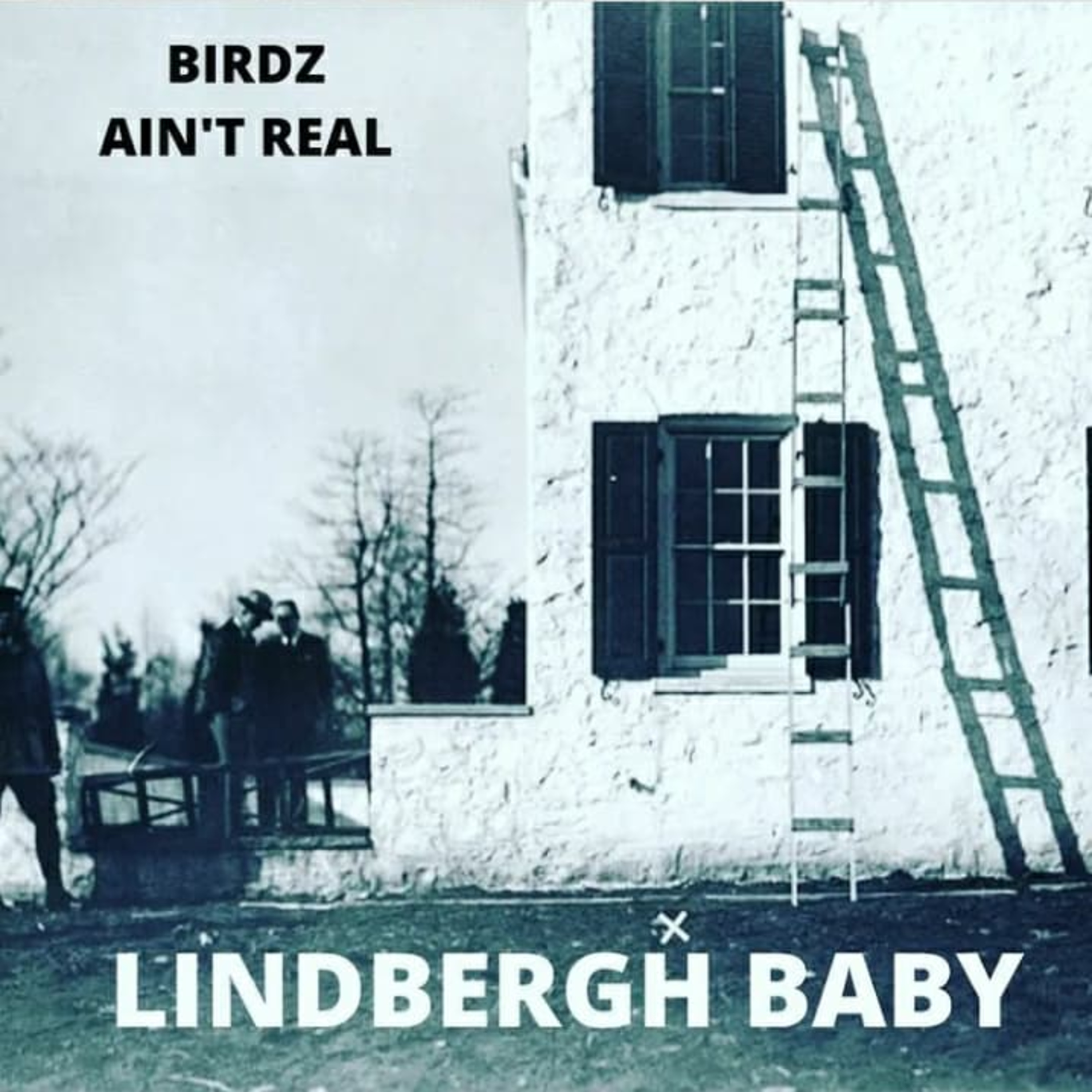 Birdz Ain\'t Real
