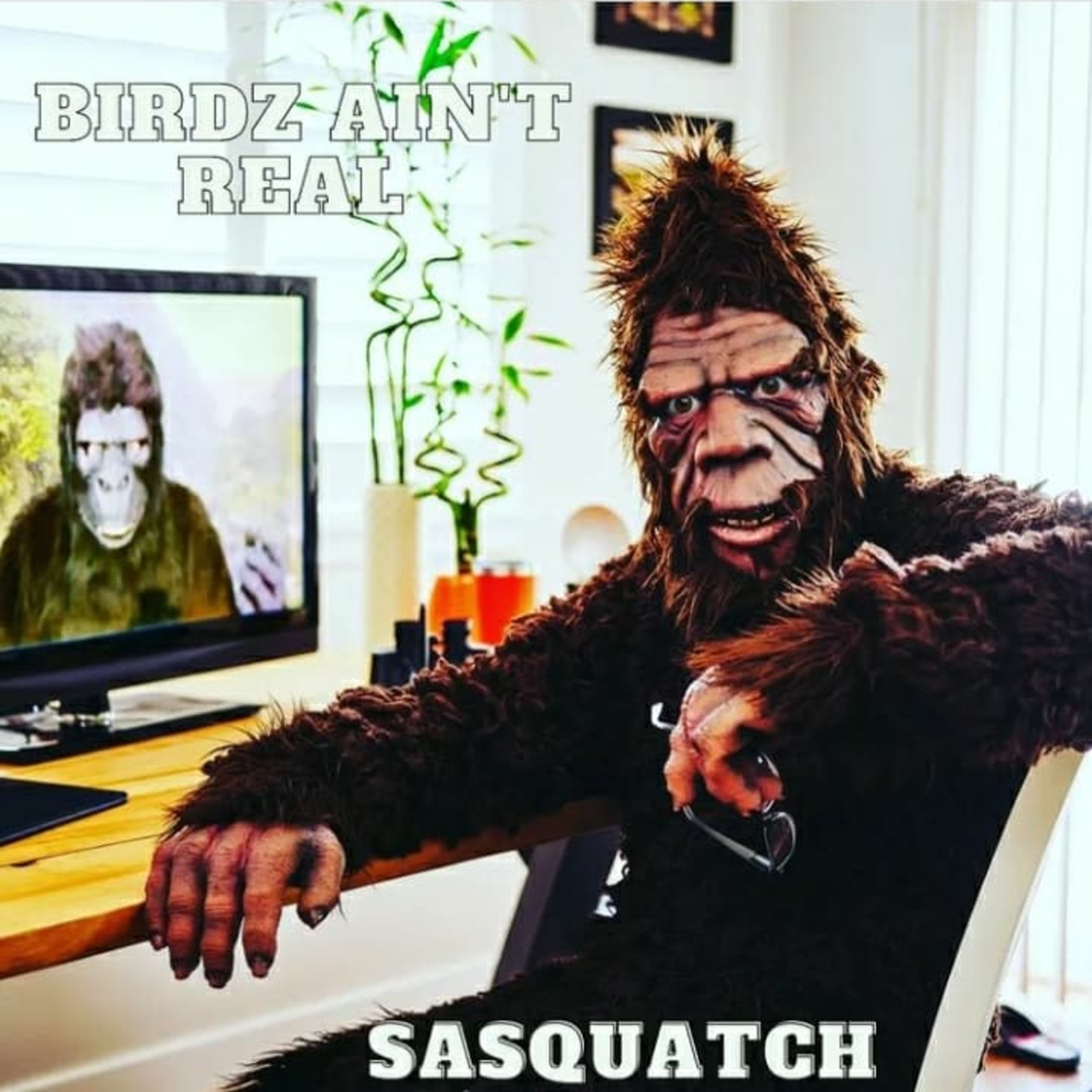 Birdz Ain\'t Real