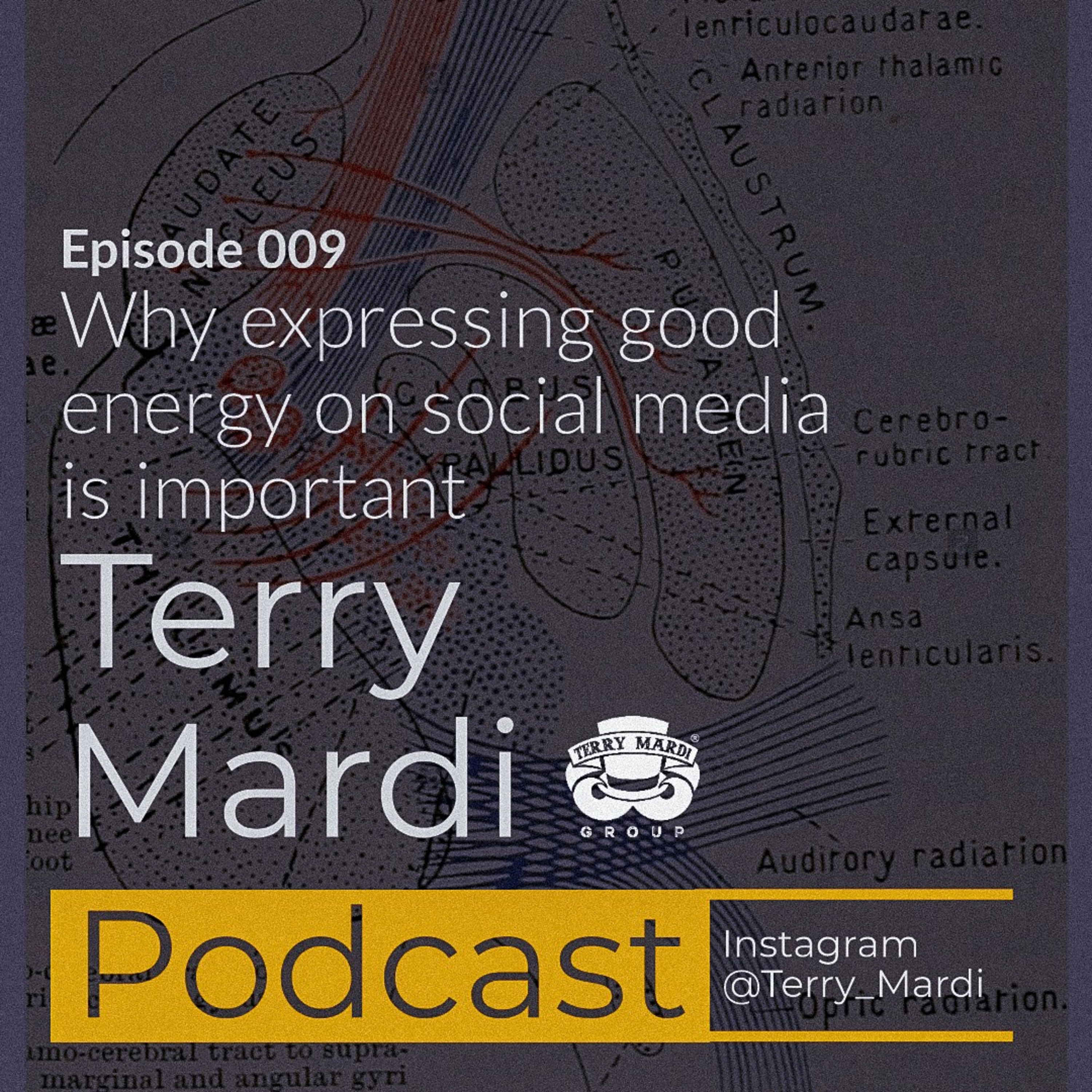 Terry Mardi Mind Camp Podcast