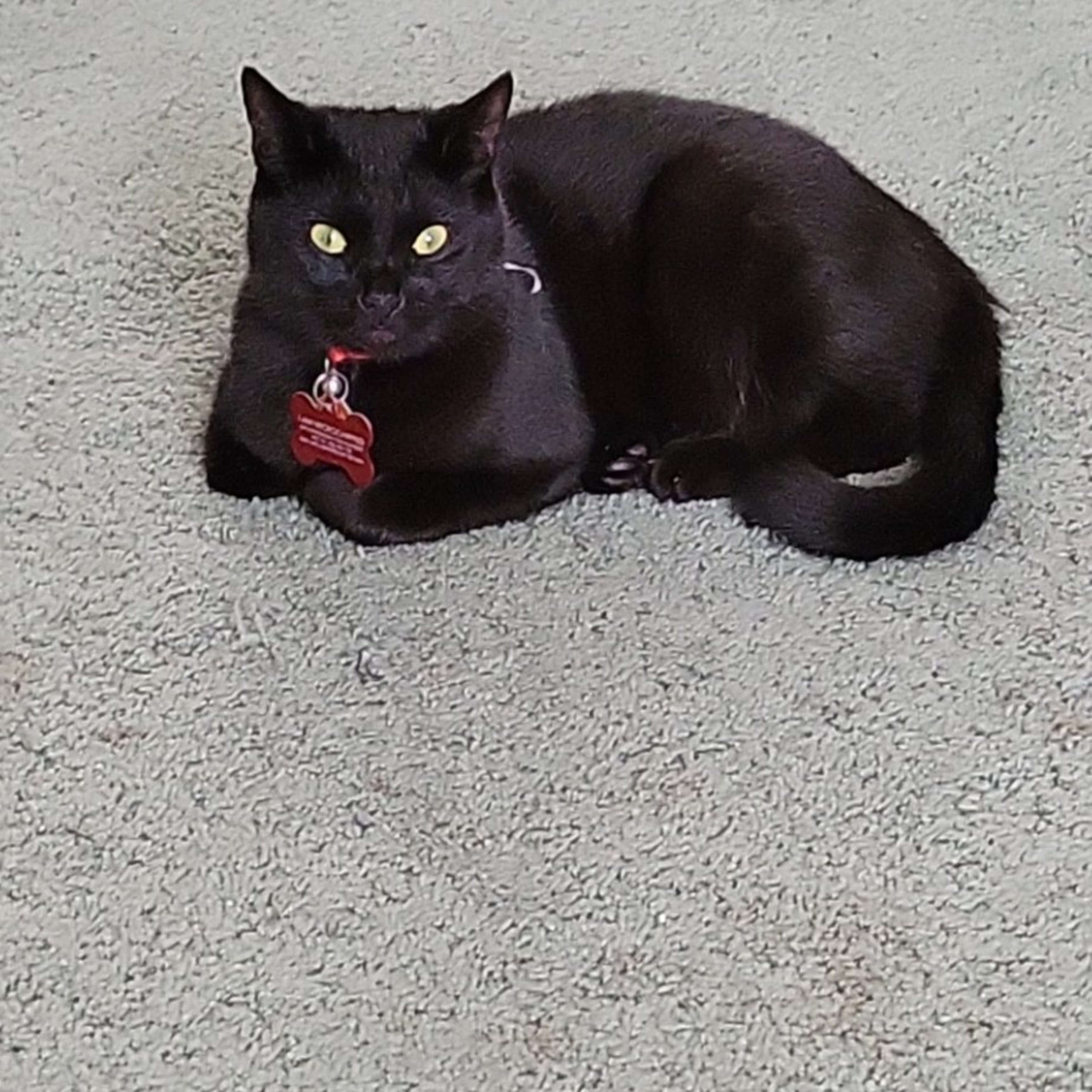 Kaci\'s Random Thoughts