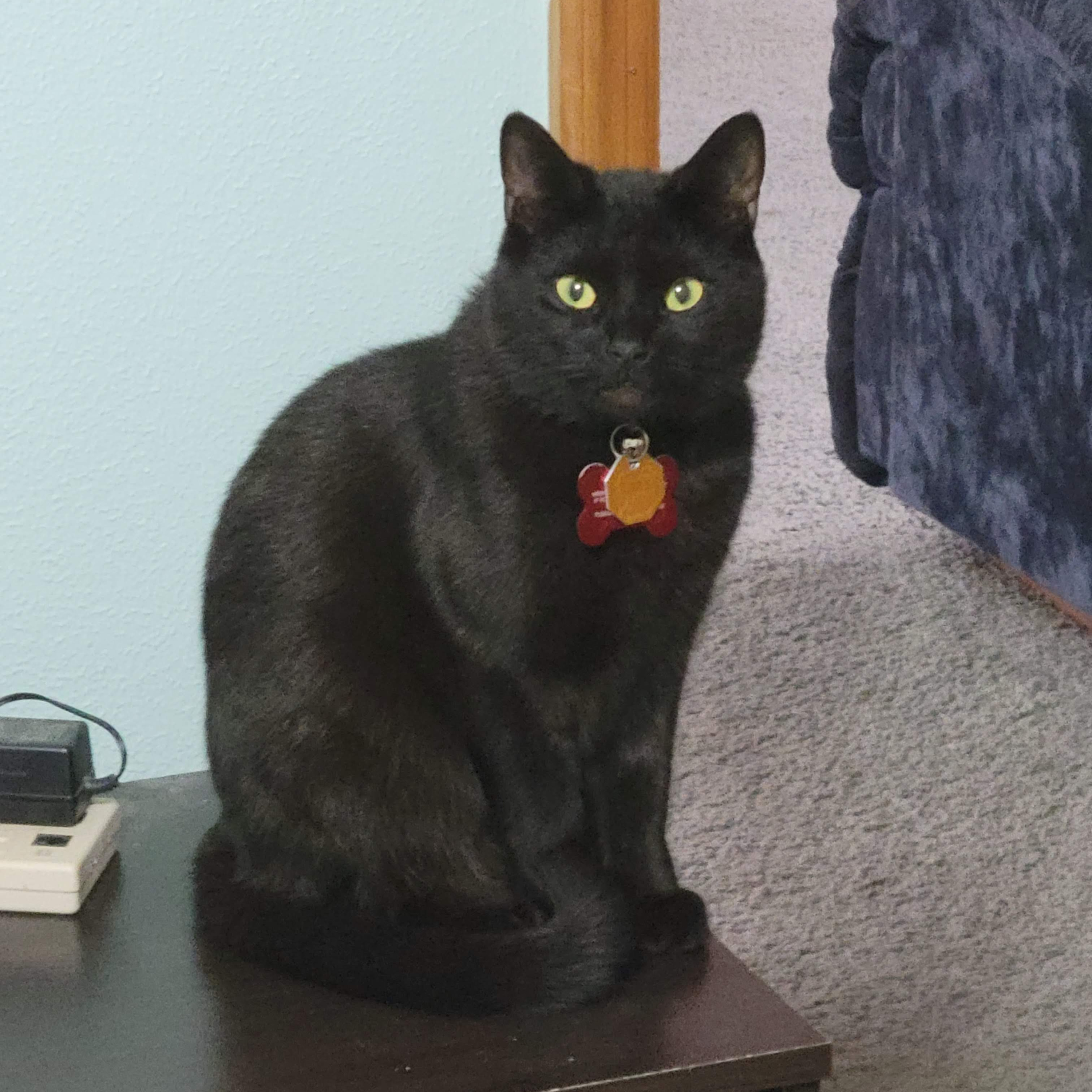 Kaci\'s Random Thoughts