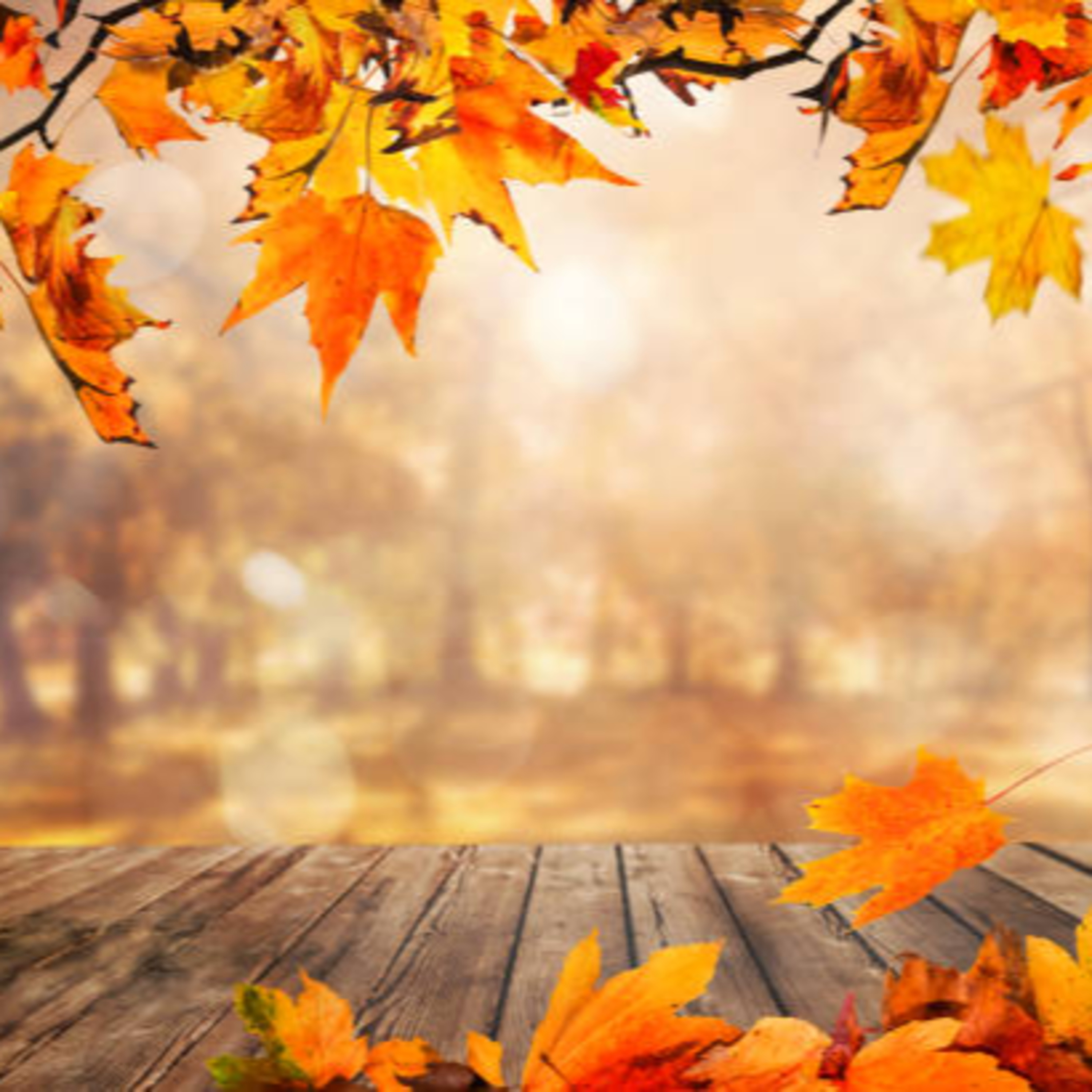 Kaci\'s Random Thoughts