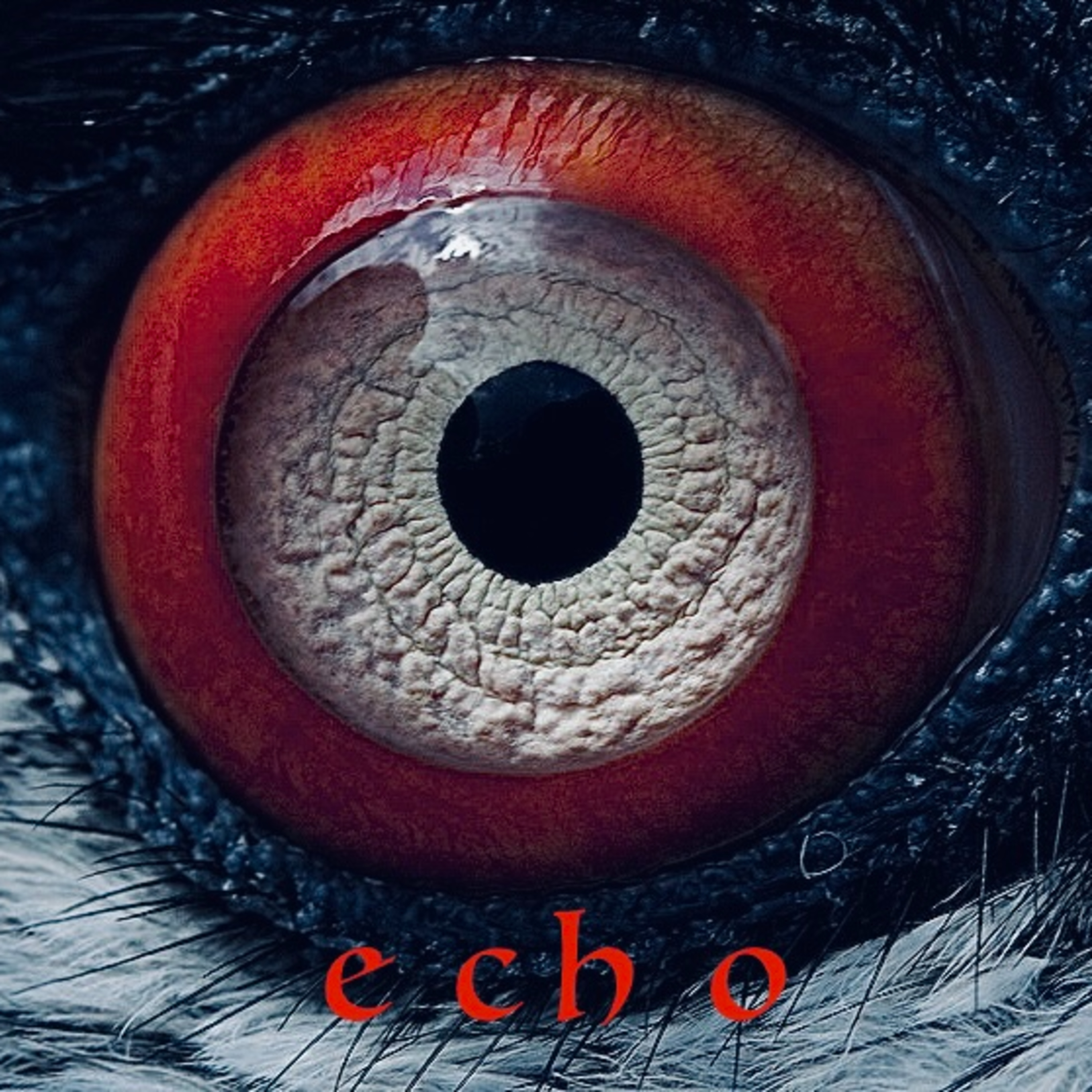echo // Paul Celan – Lob der Ferne  episode artwork