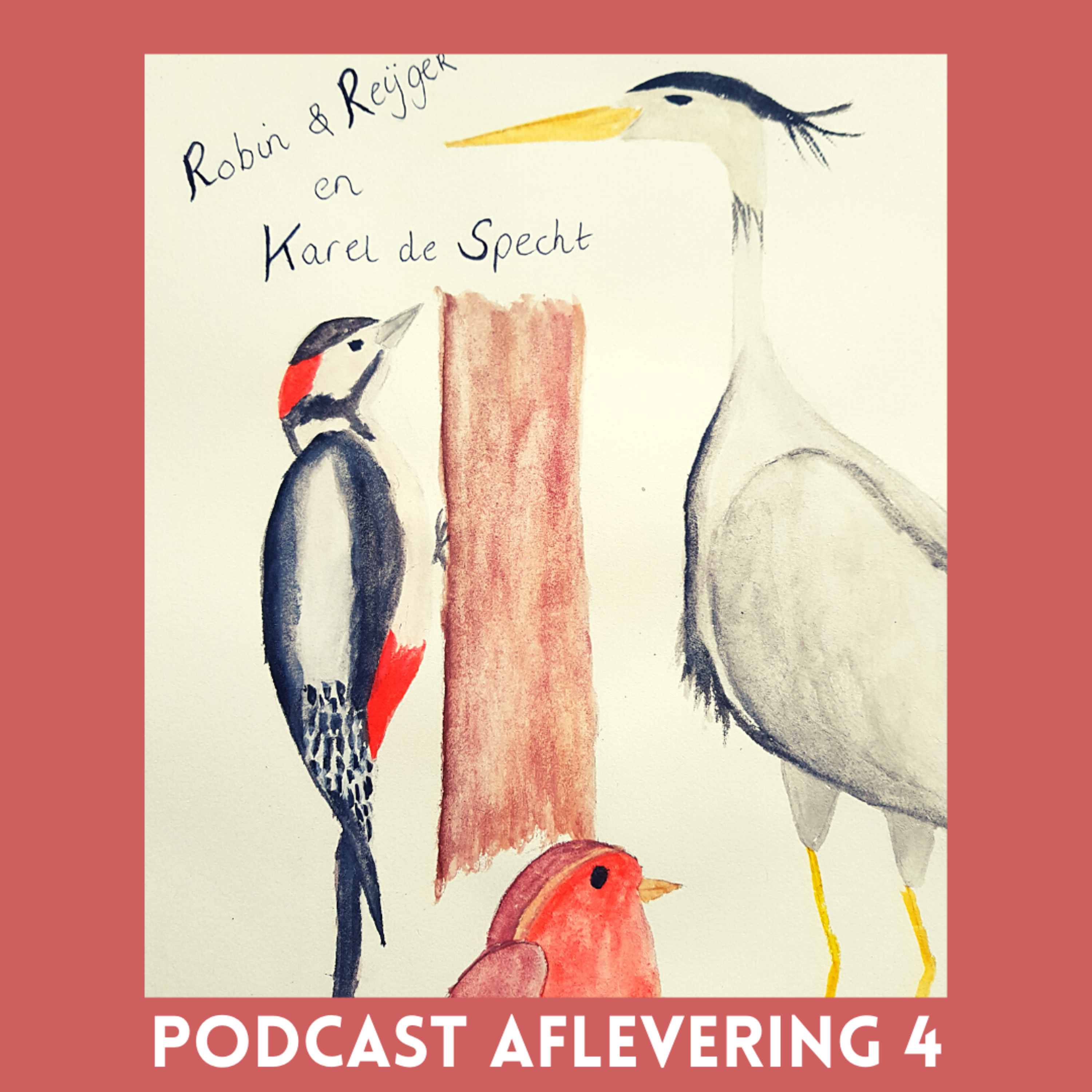 Robin en Reijger op avontuur