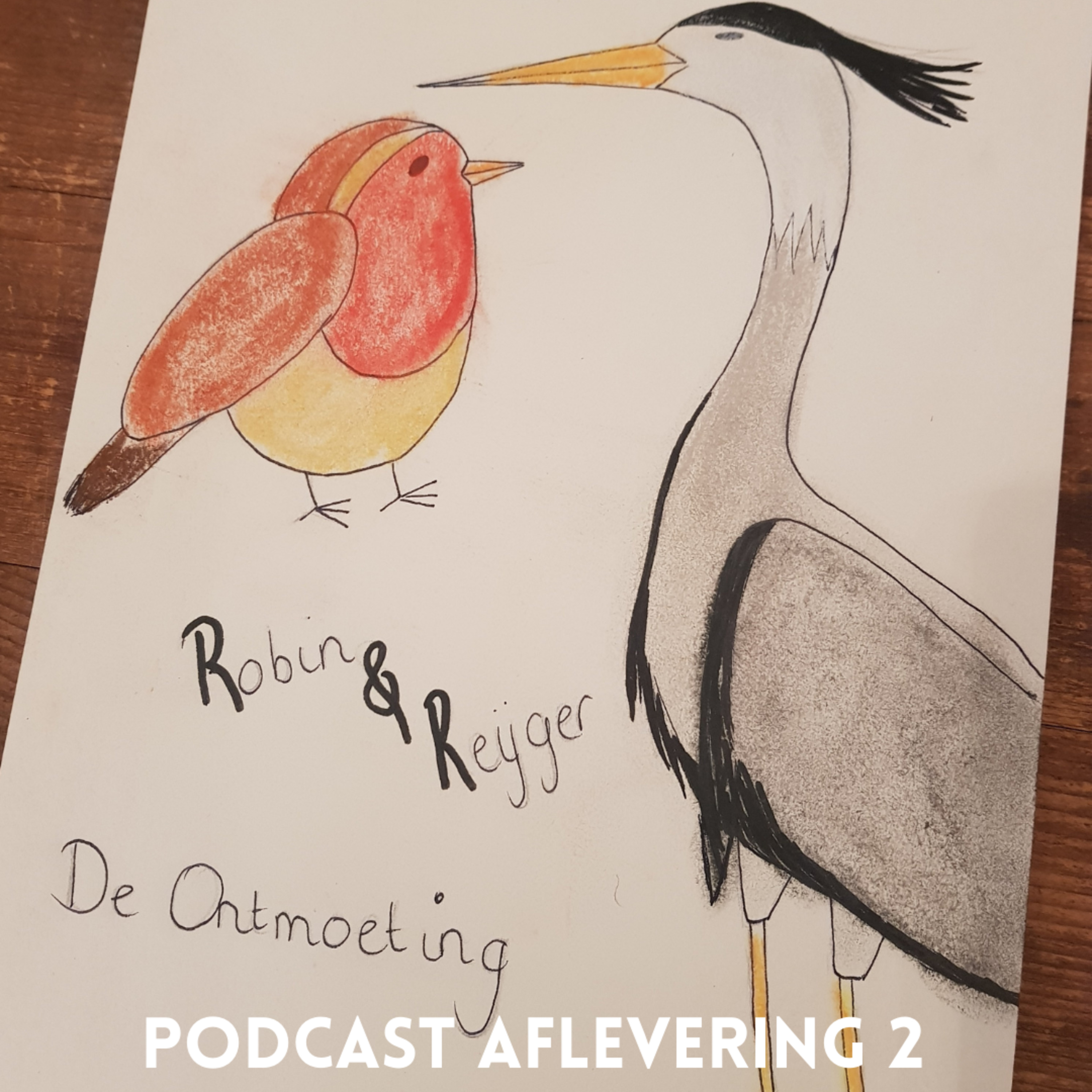 Robin en Reijger op avontuur