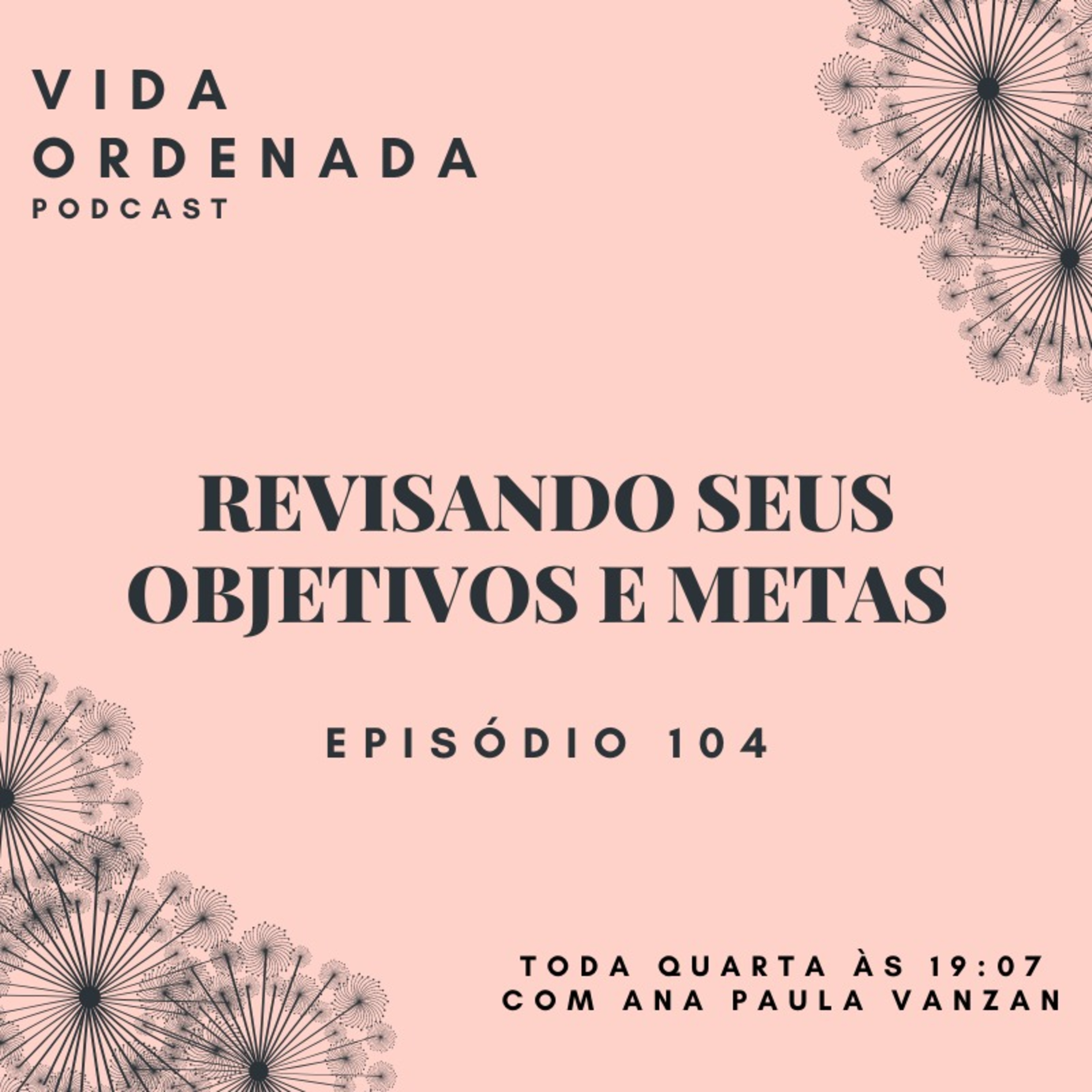 Vida Ordenada #104 Revisando seus objetivos e metas episode artwork
