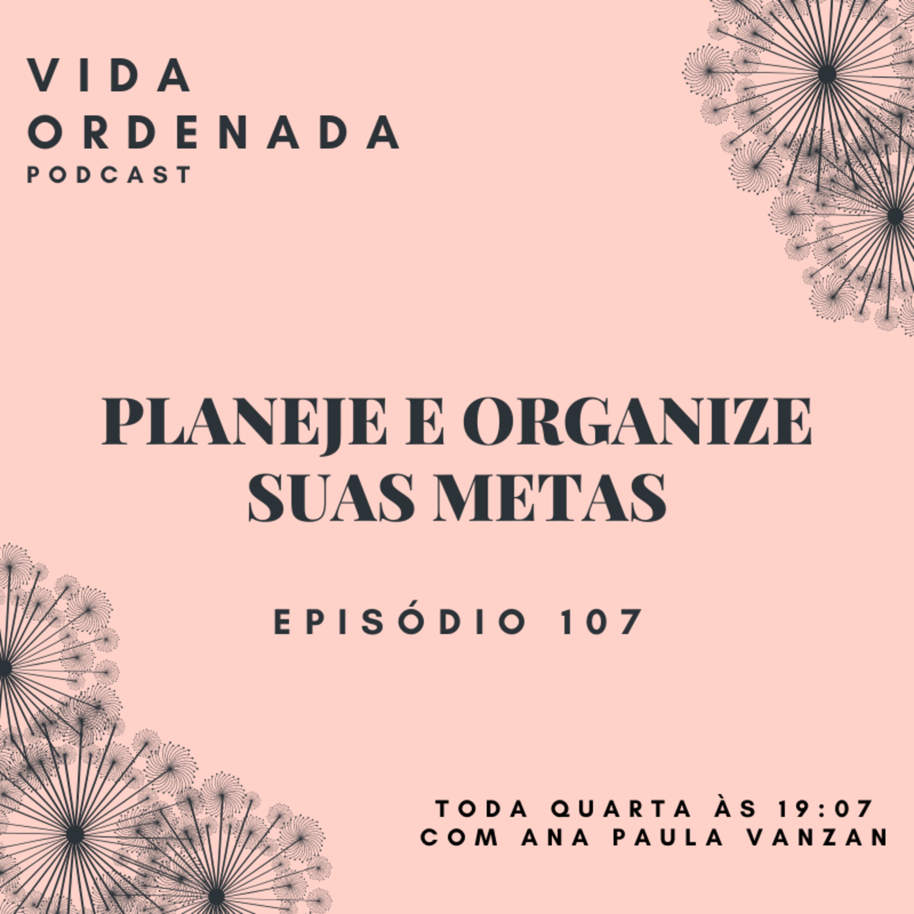 Vida Ordenada #107 Planeje e organize suas metas episode artwork