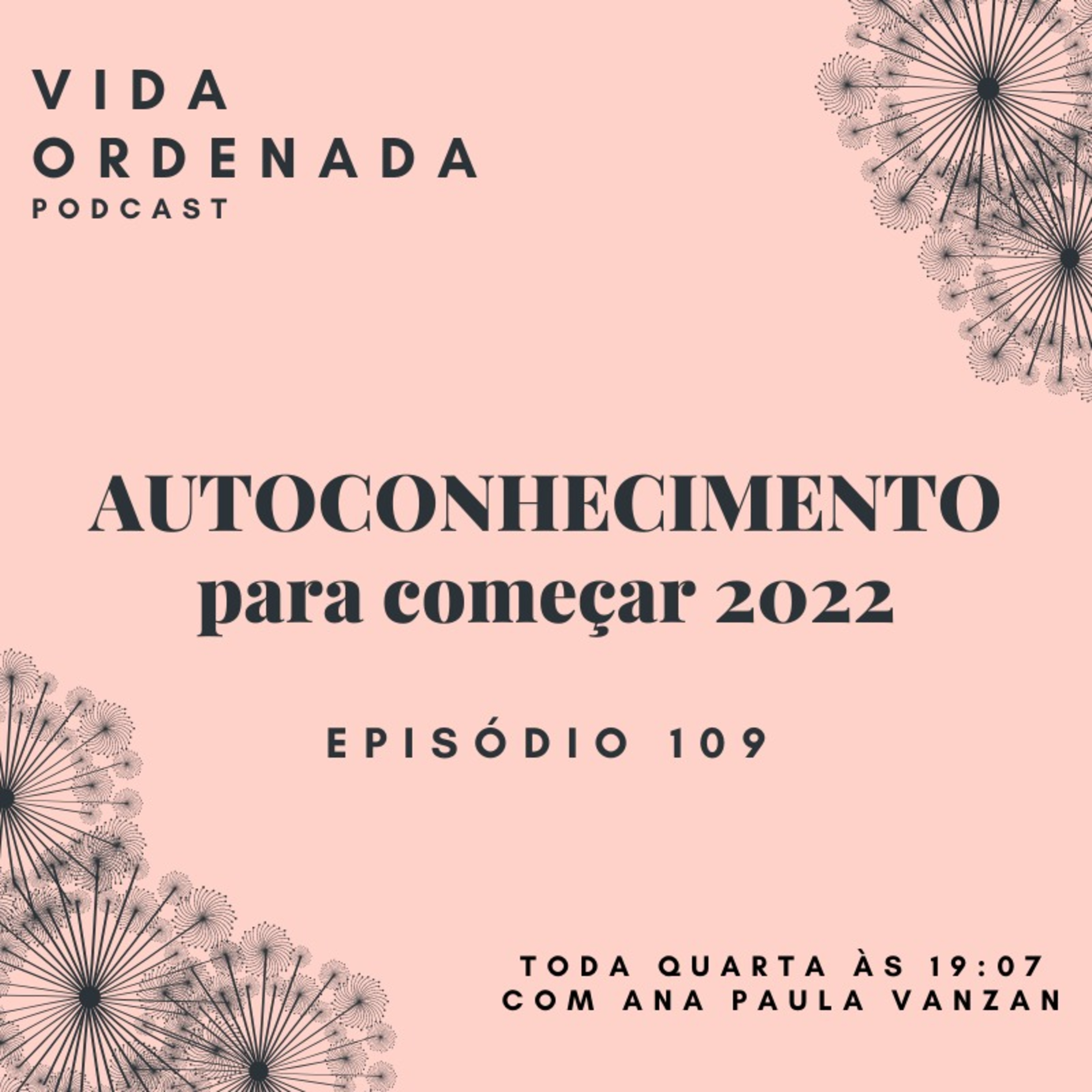 Vida Ordenada #109 Autoconhecimento para começar 2022 episode artwork