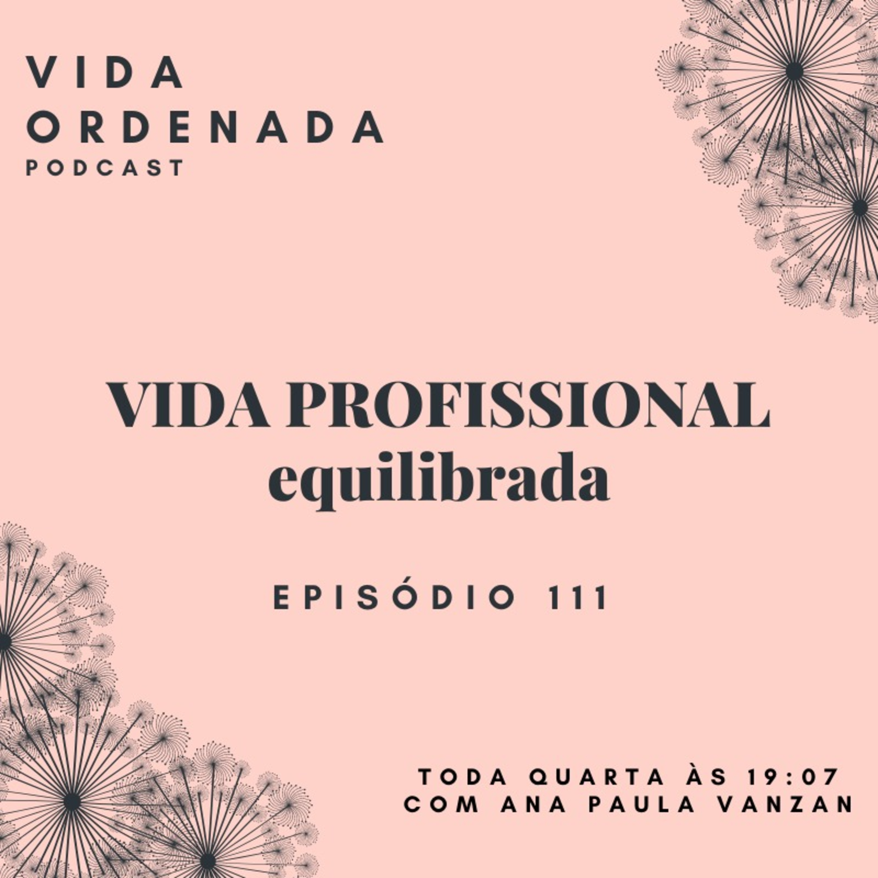 Vida Ordenada #111 Vida Profissional Equilibrada episode artwork