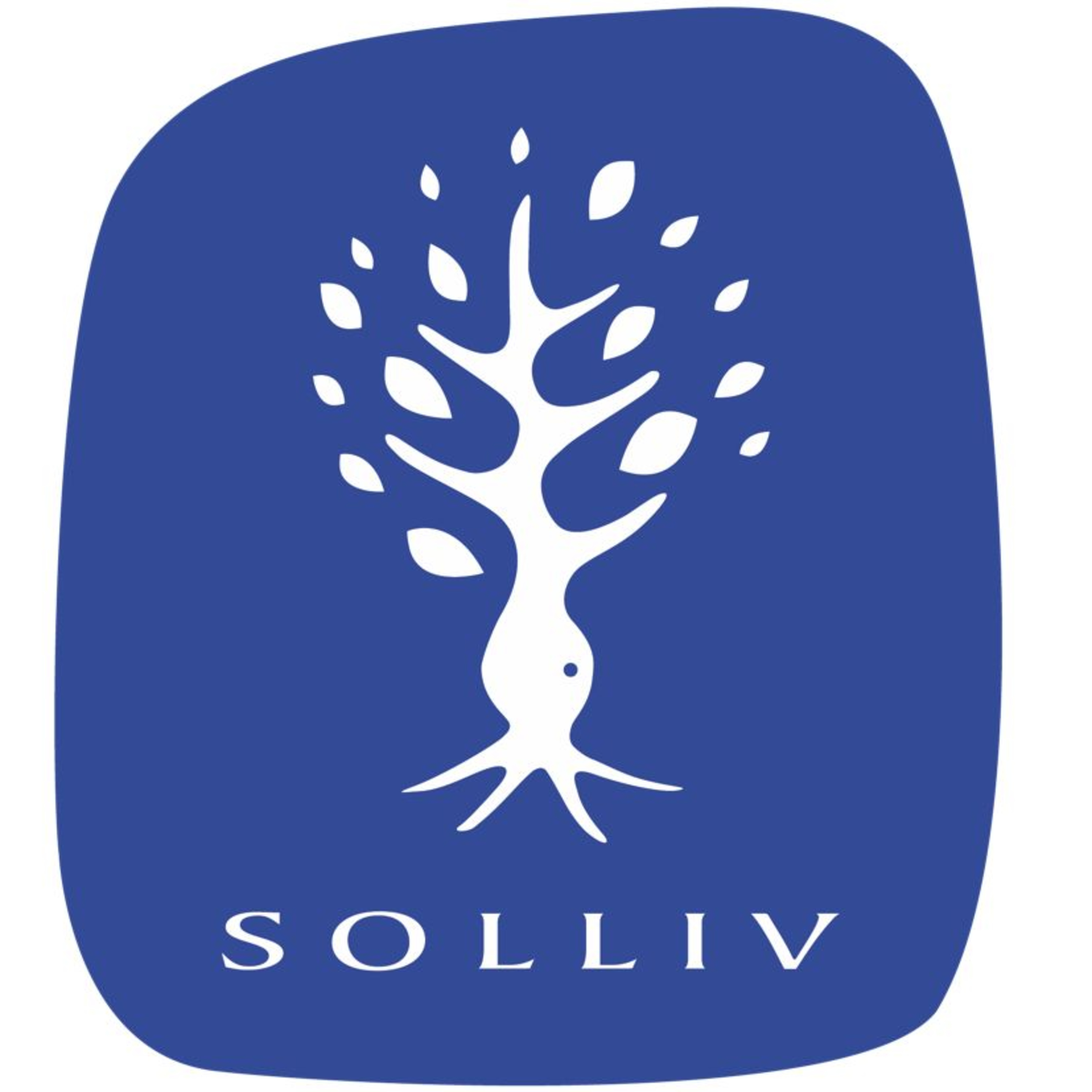 El proyecto META apoya a pymes a transformarse tras la crisis y prepararse para el futuro | Entrevista Solliv episode artwork