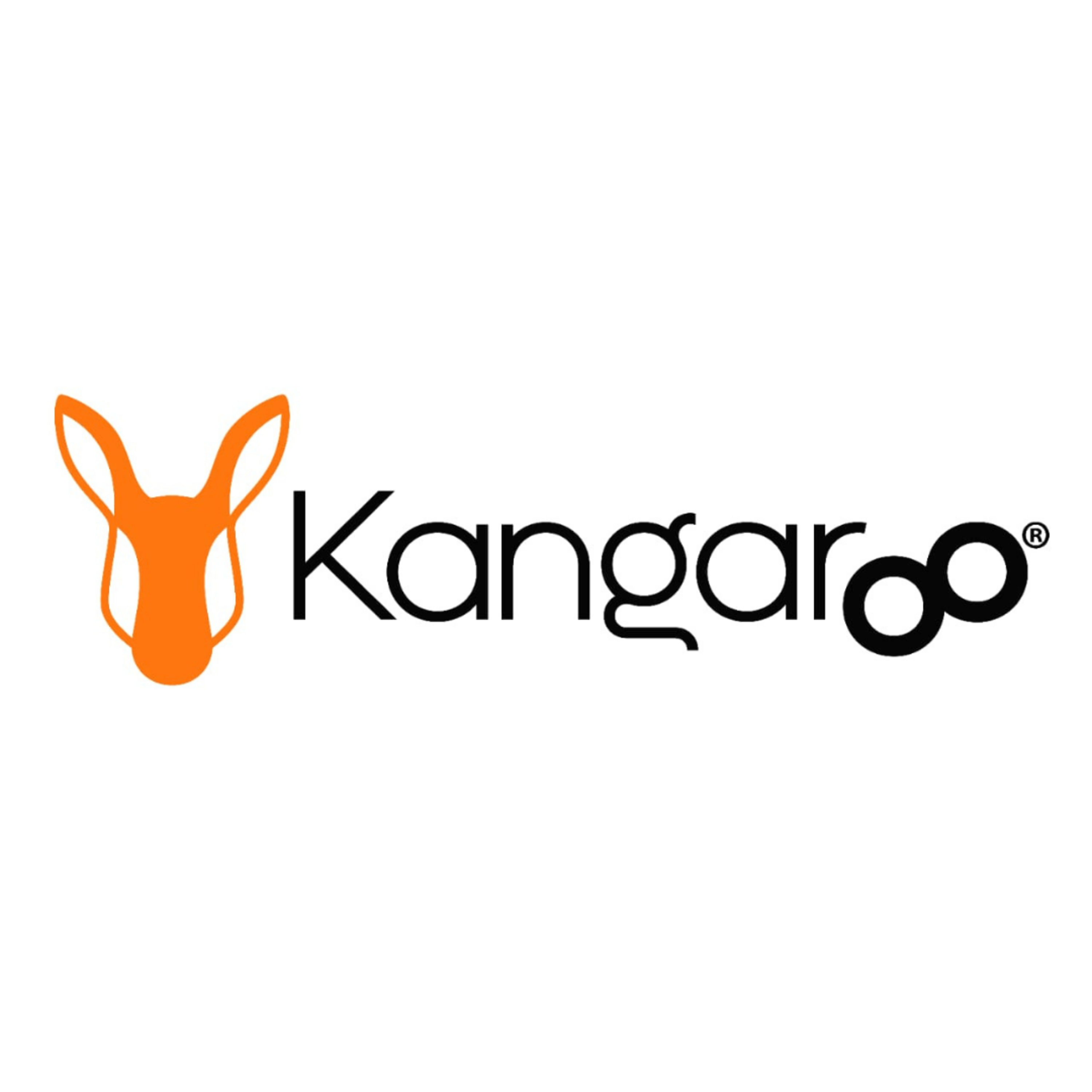 Kangaroo, la aplicación que mejora la productividad del personal en campo | Entrevista Kangaroo episode artwork