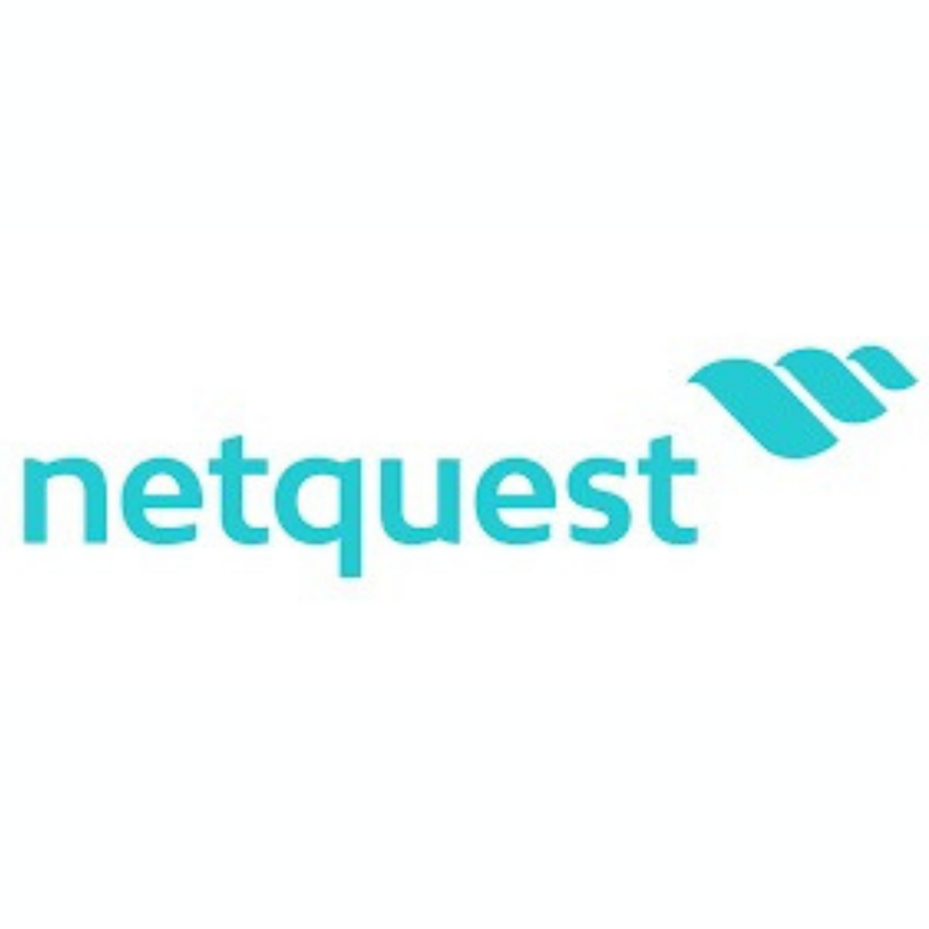 Tendencias 2022 en medición de audiencias | Entrevista Netquest  episode artwork
