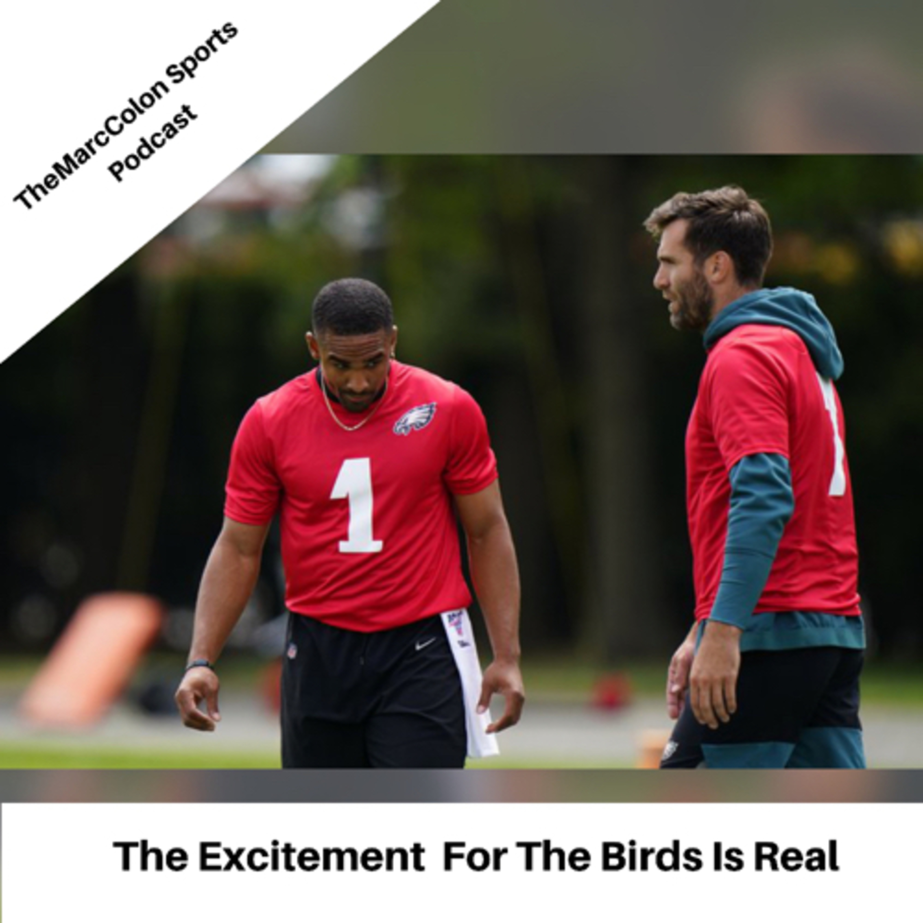 The Excitement For The Birds Is Real  episode artwork
