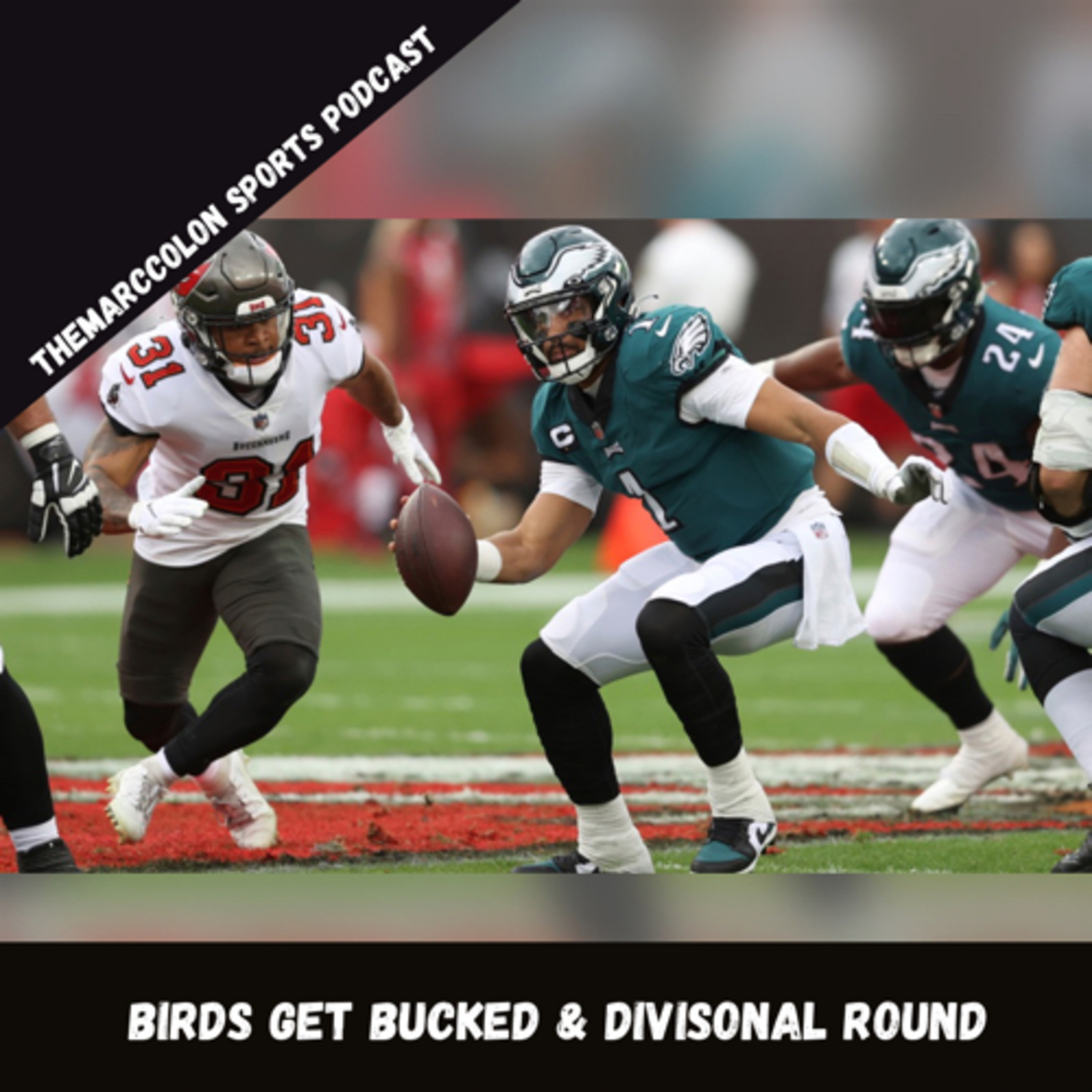 Birds Get Bucked & Divisional Round  episode artwork