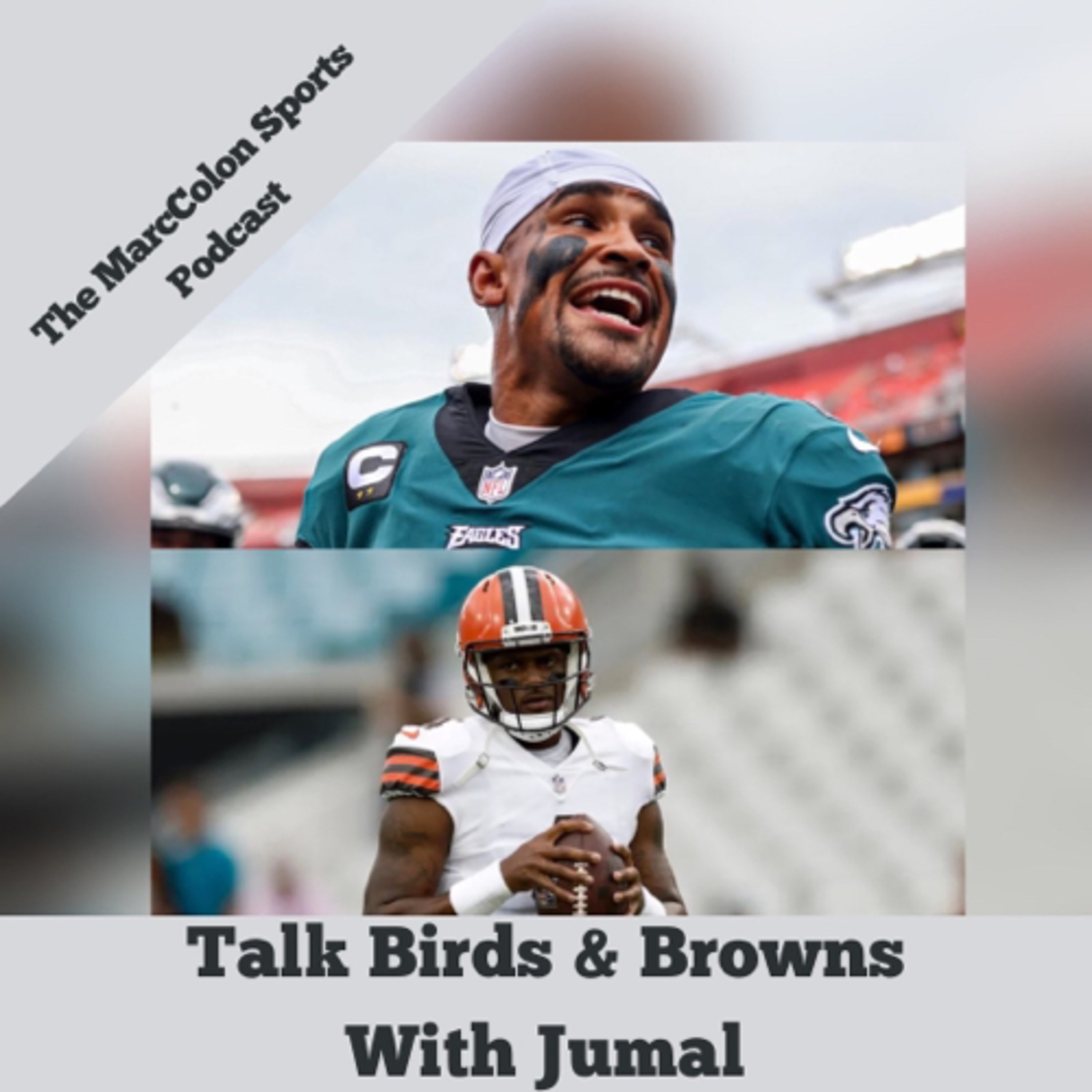 Talk Birds & Browns With Jumal  episode artwork
