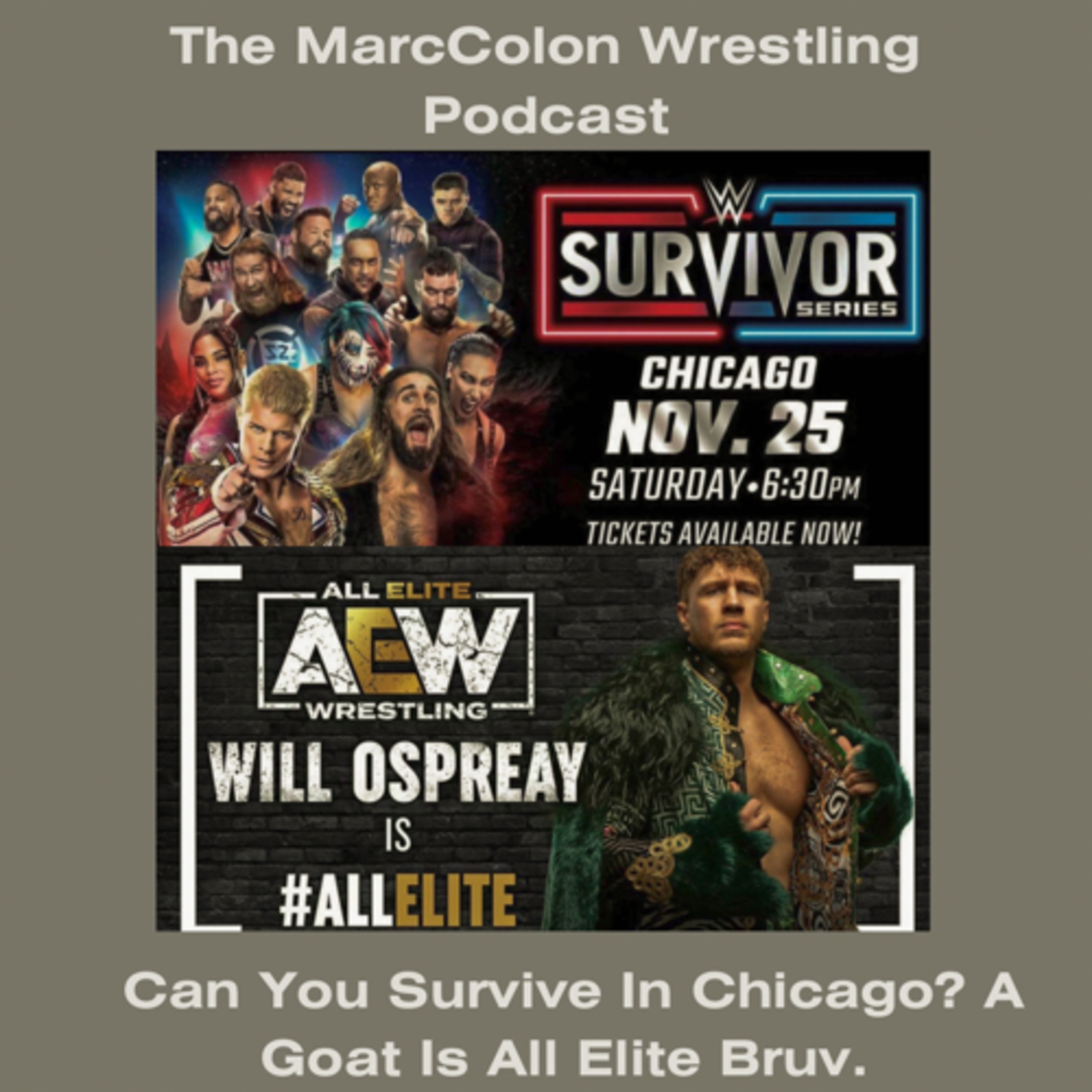 Can You Survive In Chicago? A Goat Is All Elite Bruv. episode artwork