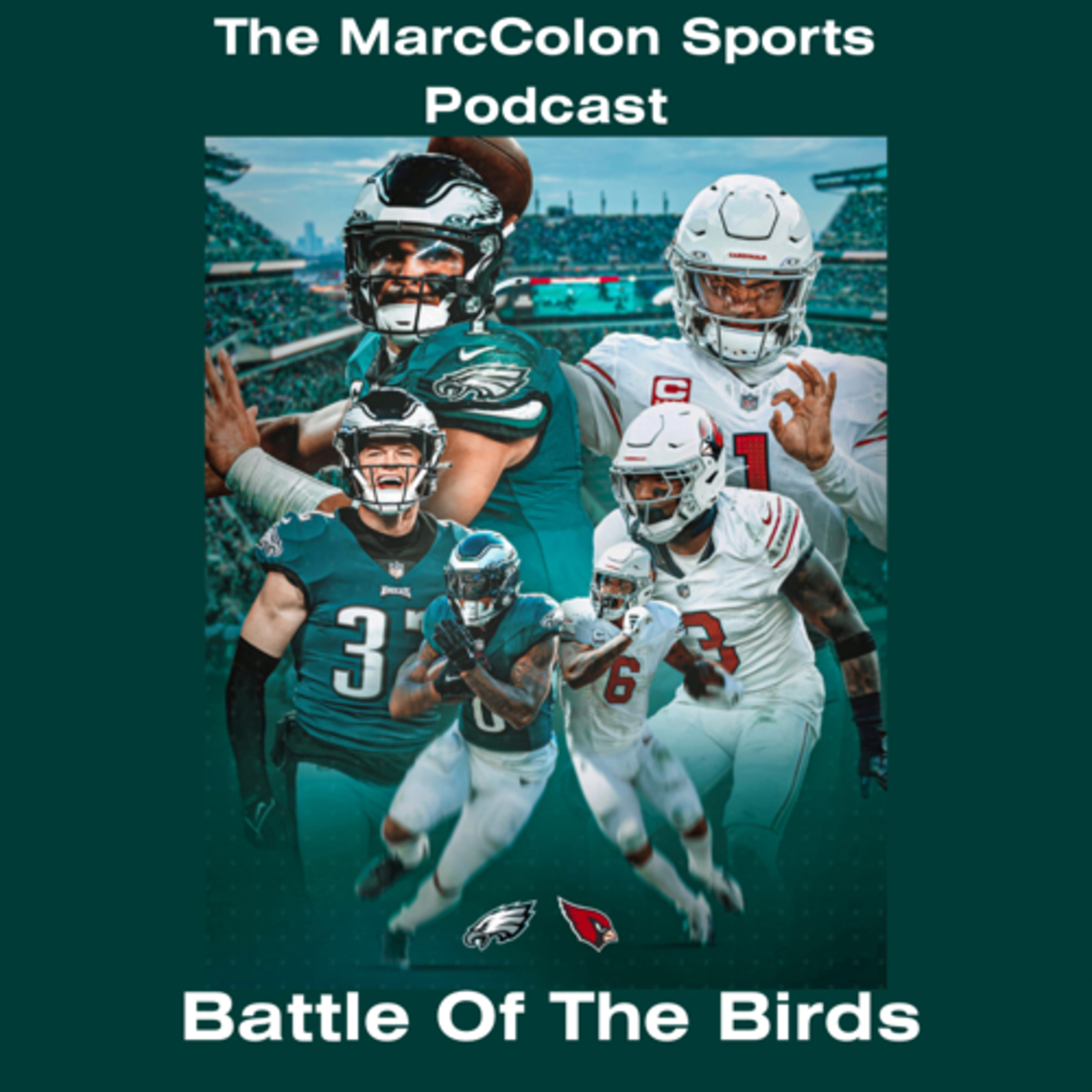 Battle Of The Birds  episode artwork