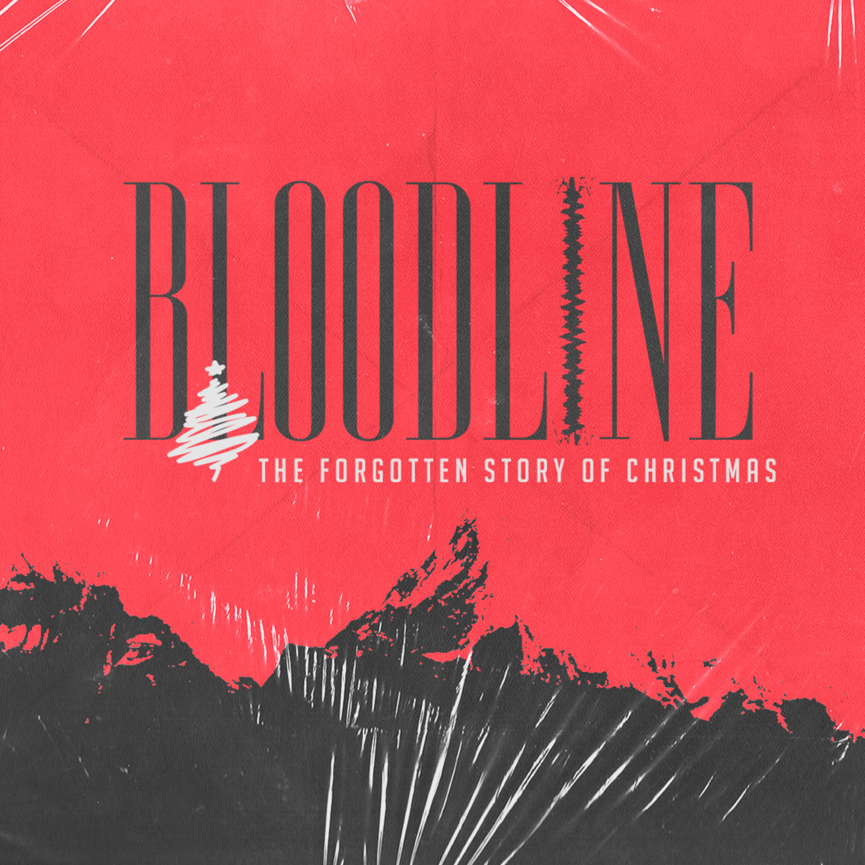 Bloodline | Week one