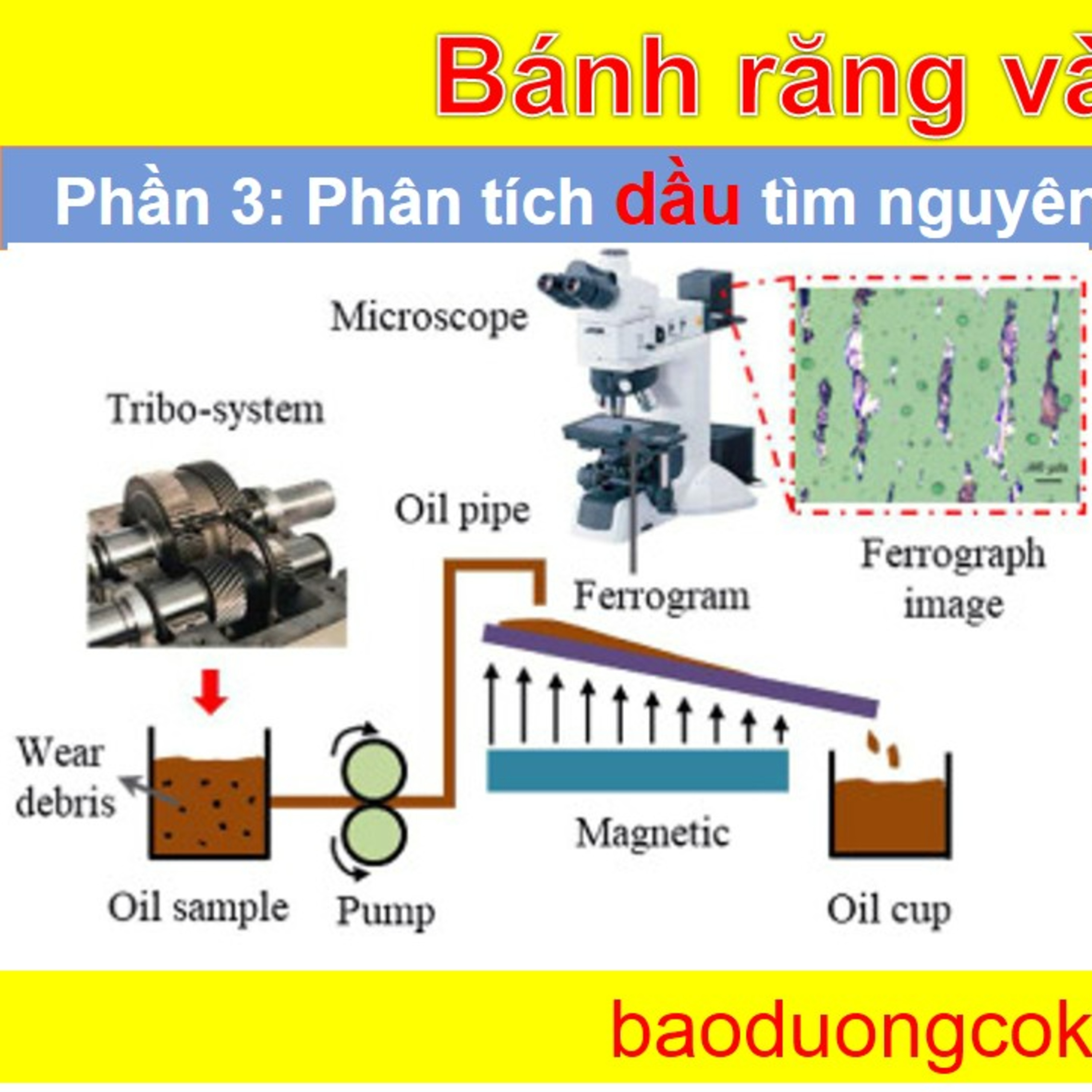 Bảo Dưỡng Cơ Khí