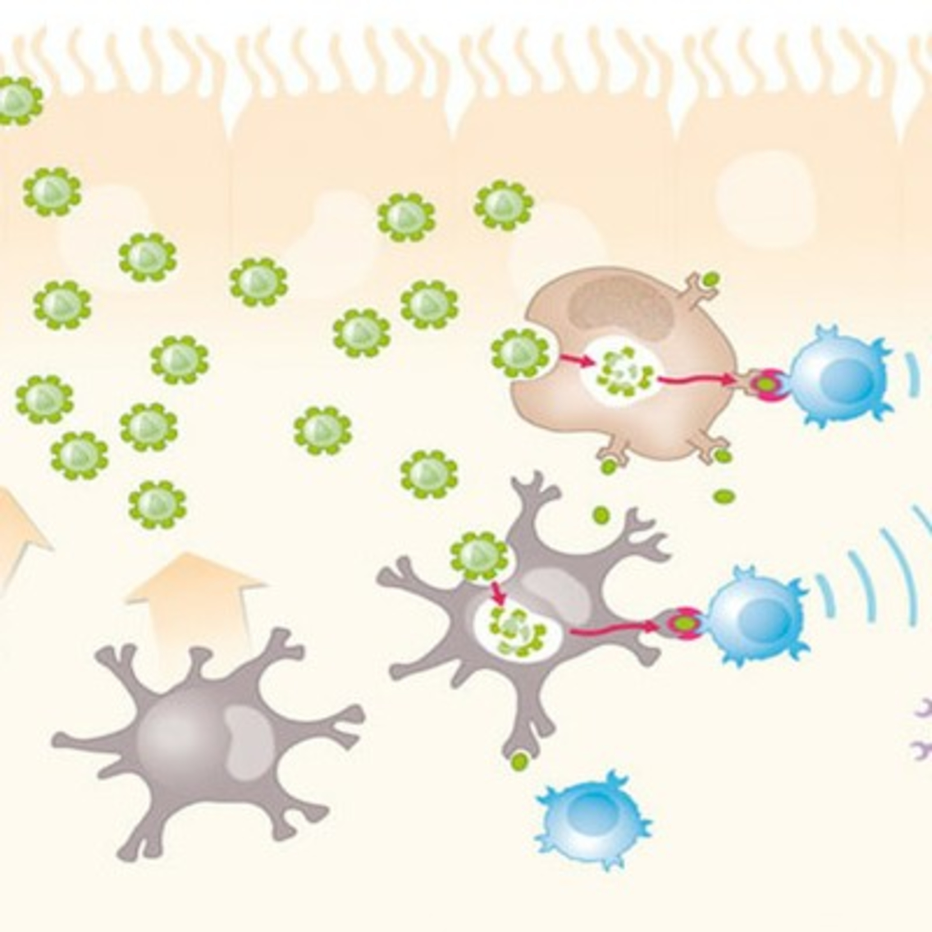 Immunologie, Epigenetik und Psychopathologie episode artwork