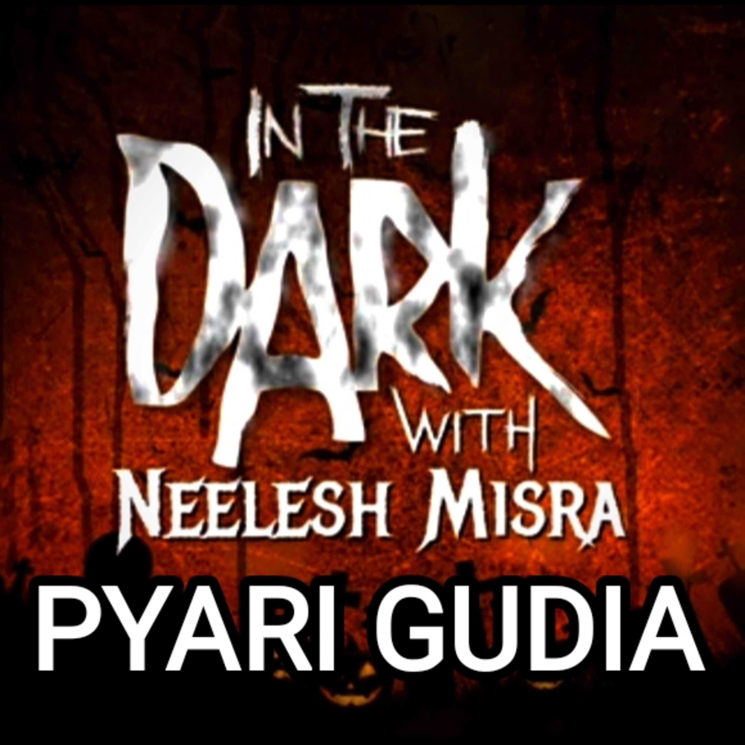IN THE DARK WITH NEELESH MISRA
