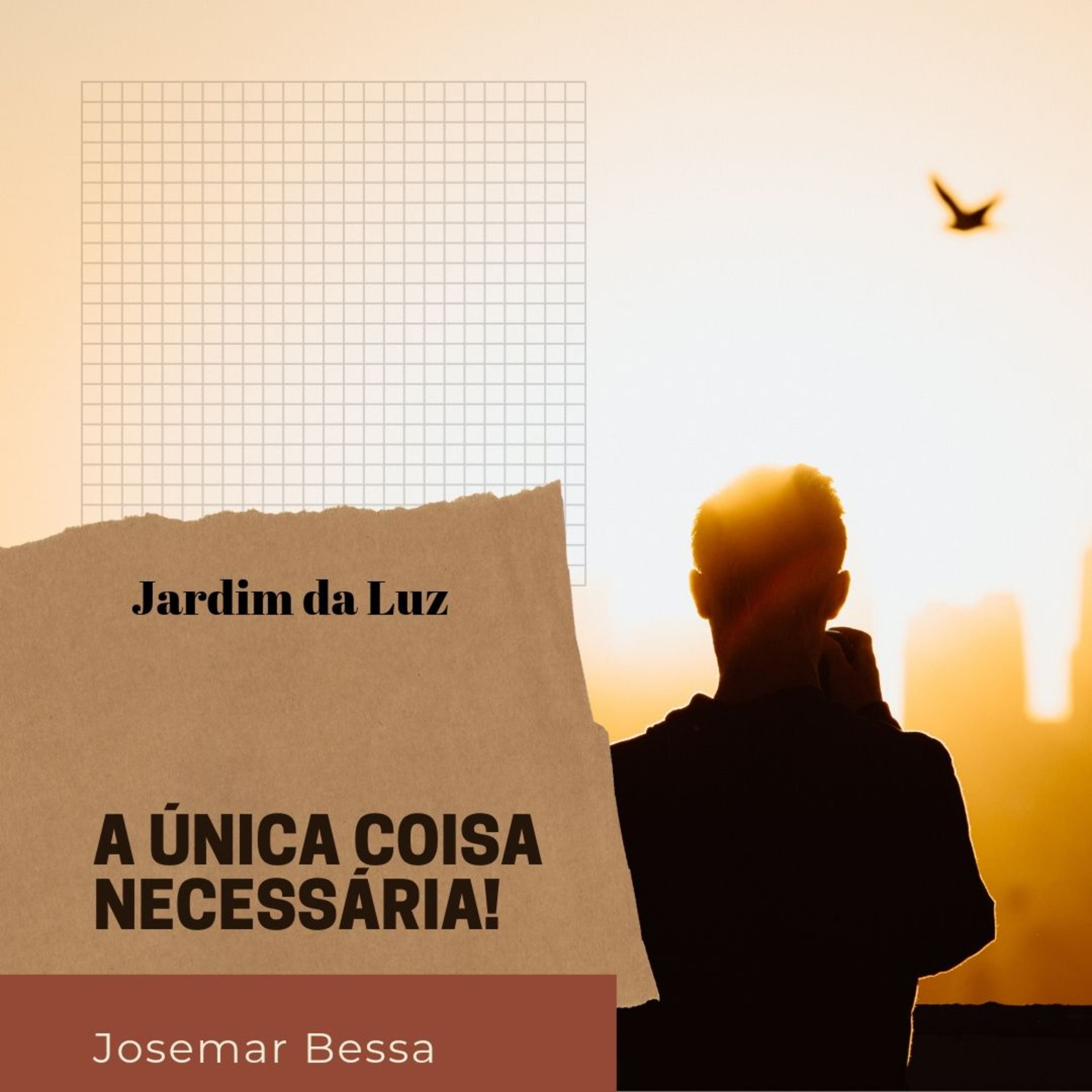 Josemar Bessa