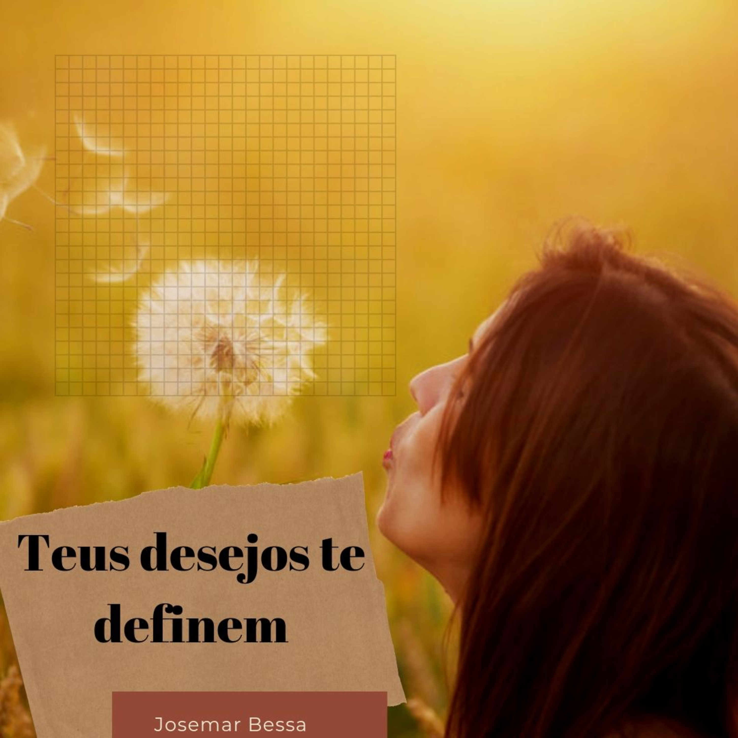 Josemar Bessa