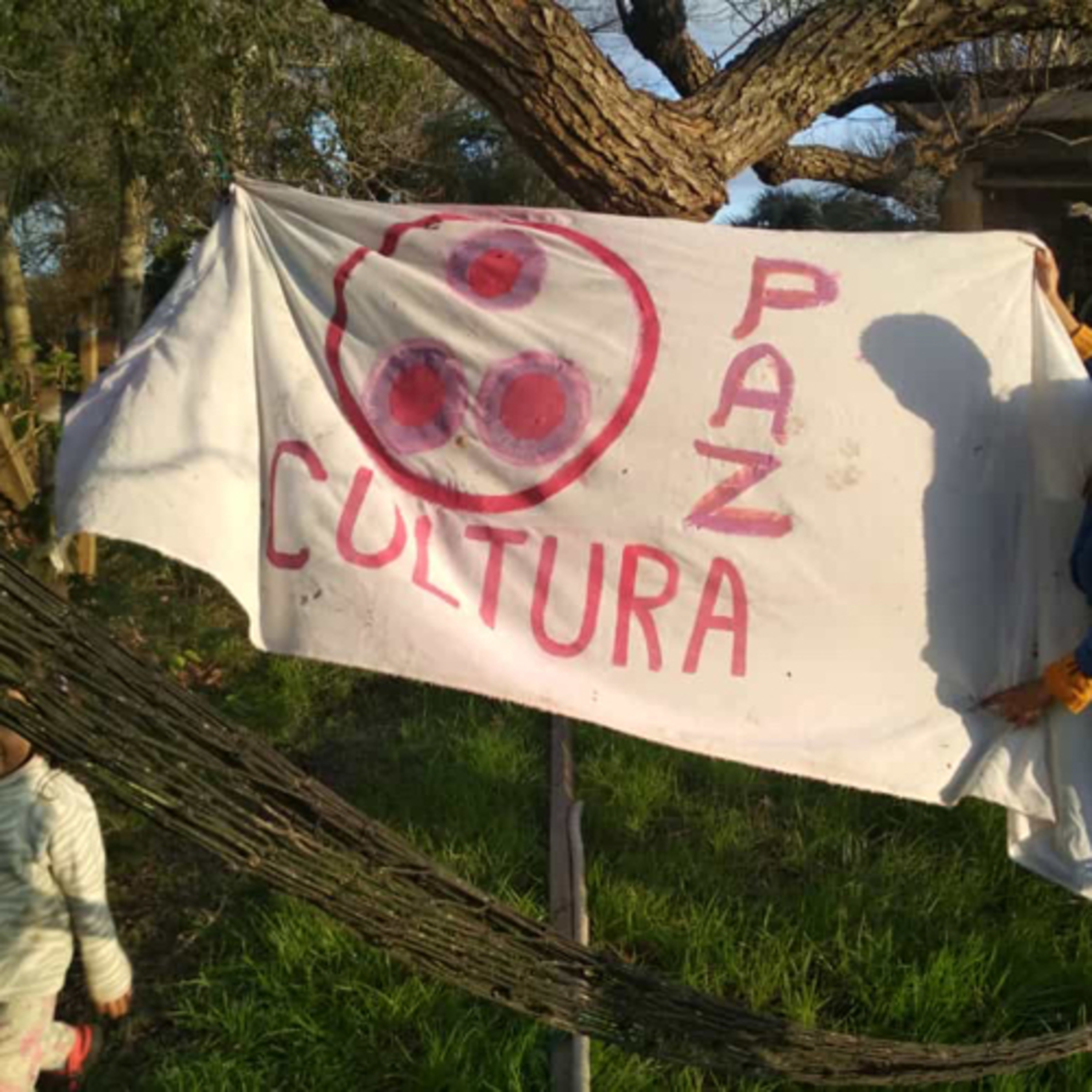Sincronario 13 lunas y Módulo Armónico.Ley del Tiempo Dia a Dia