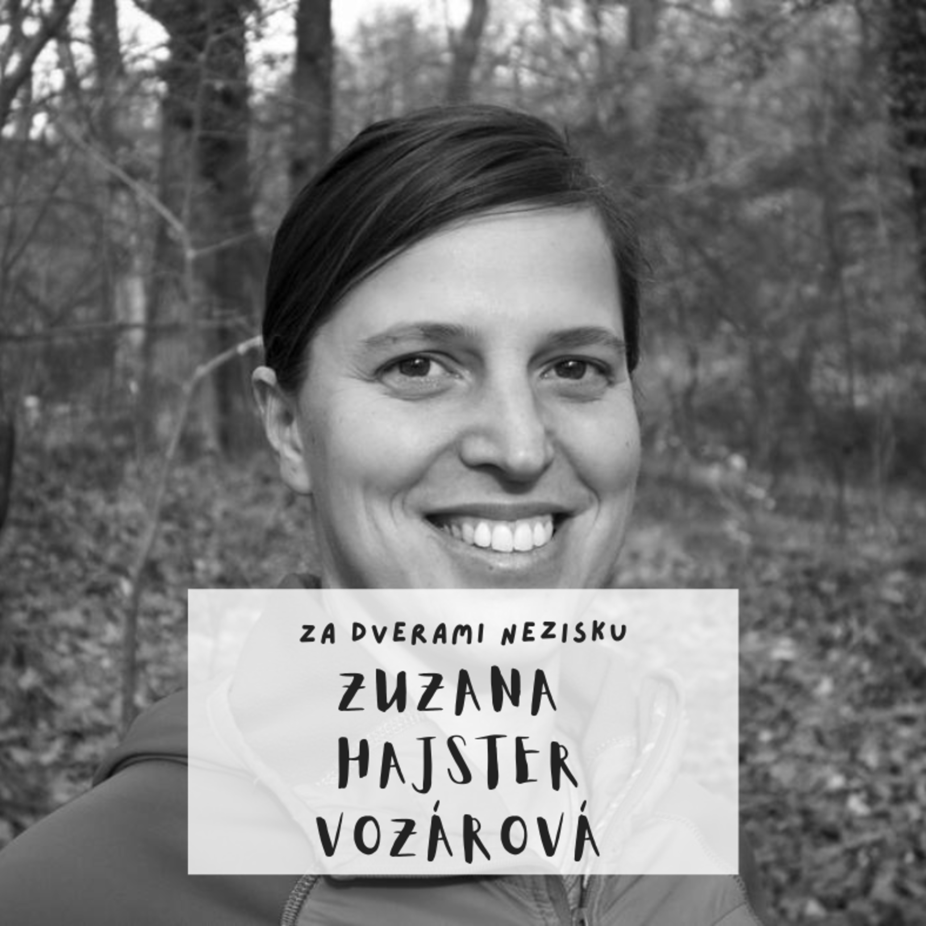 Za dverami nezisku