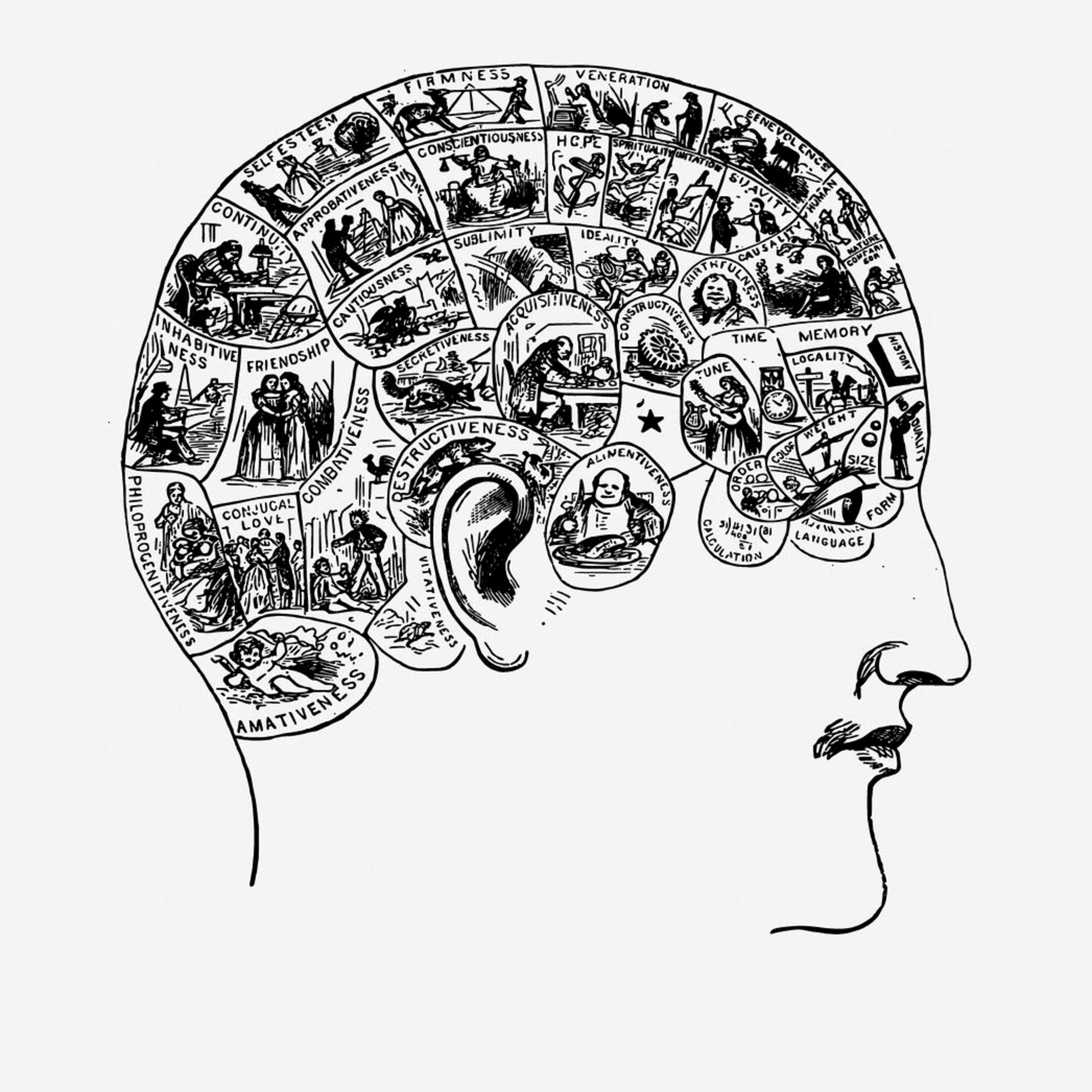 in the woods droppin some zingers on consciousness episode artwork