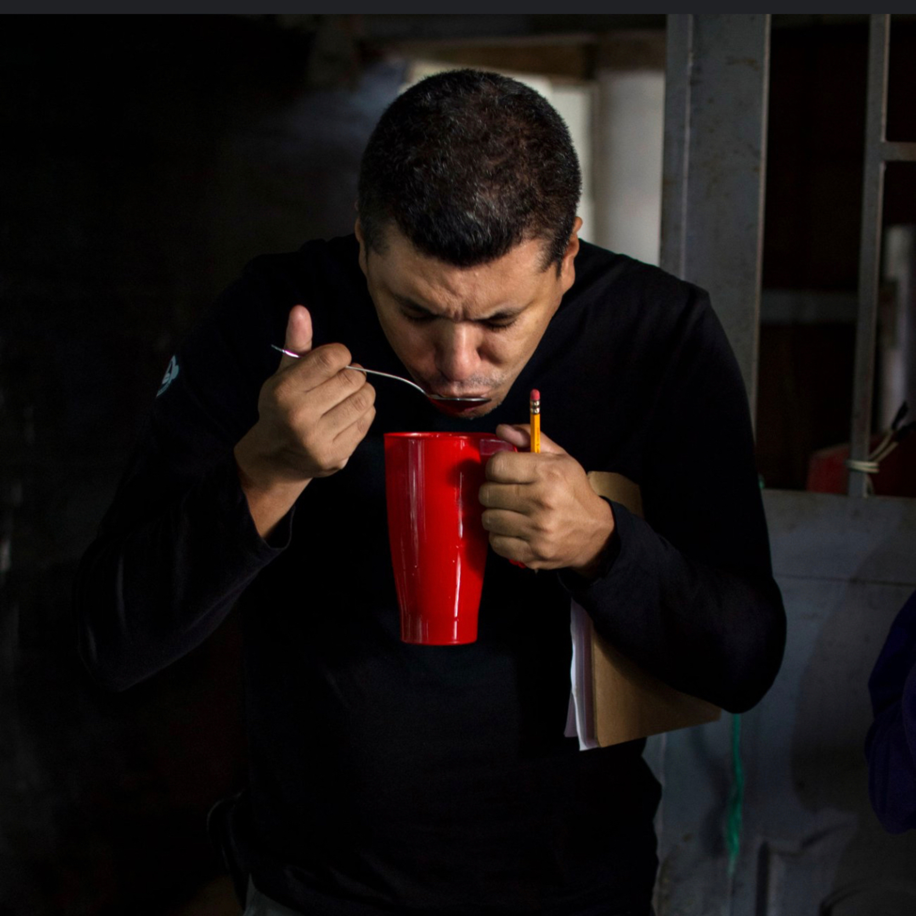 De la semilla a la taza - El café.