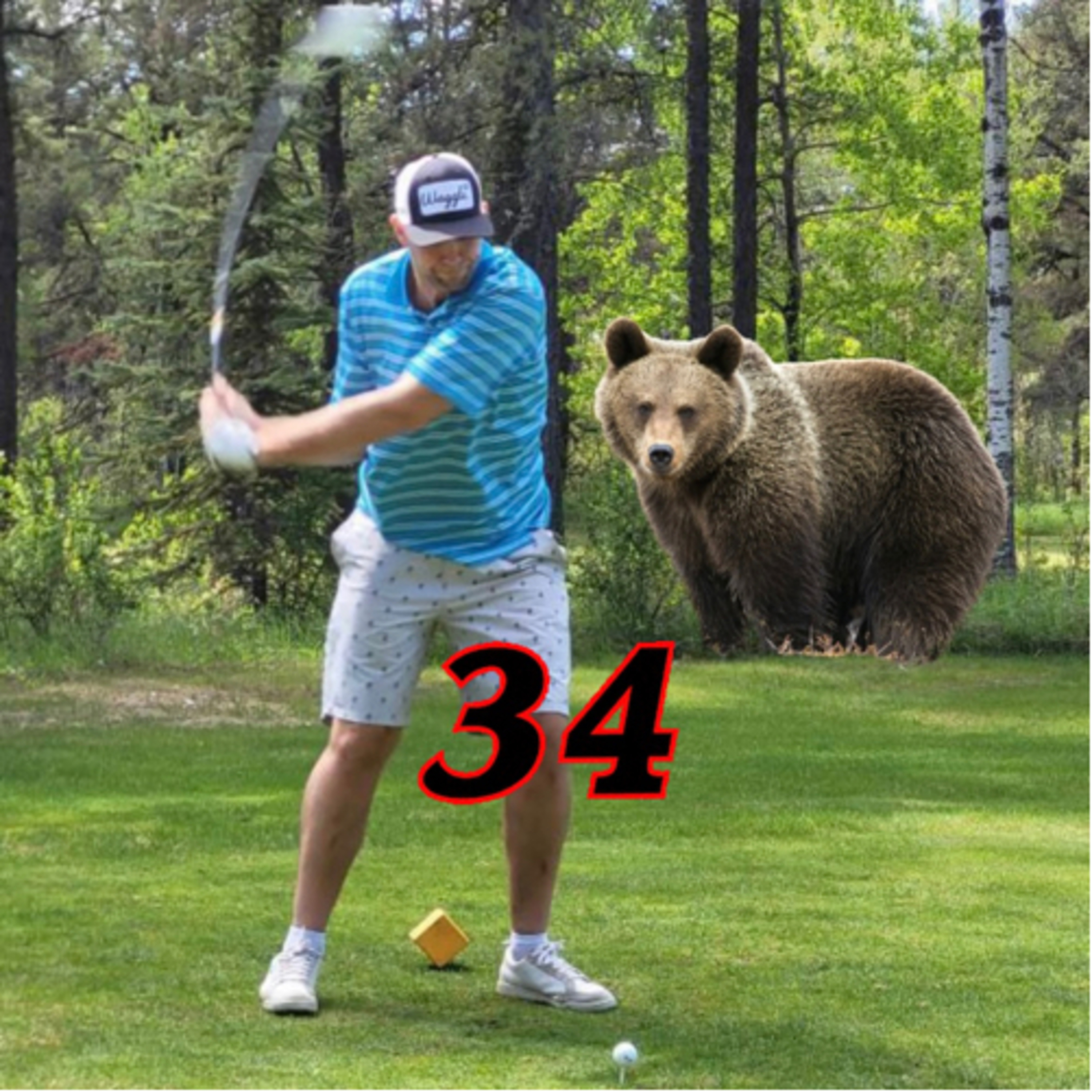 Ep34 - Bears in the Area