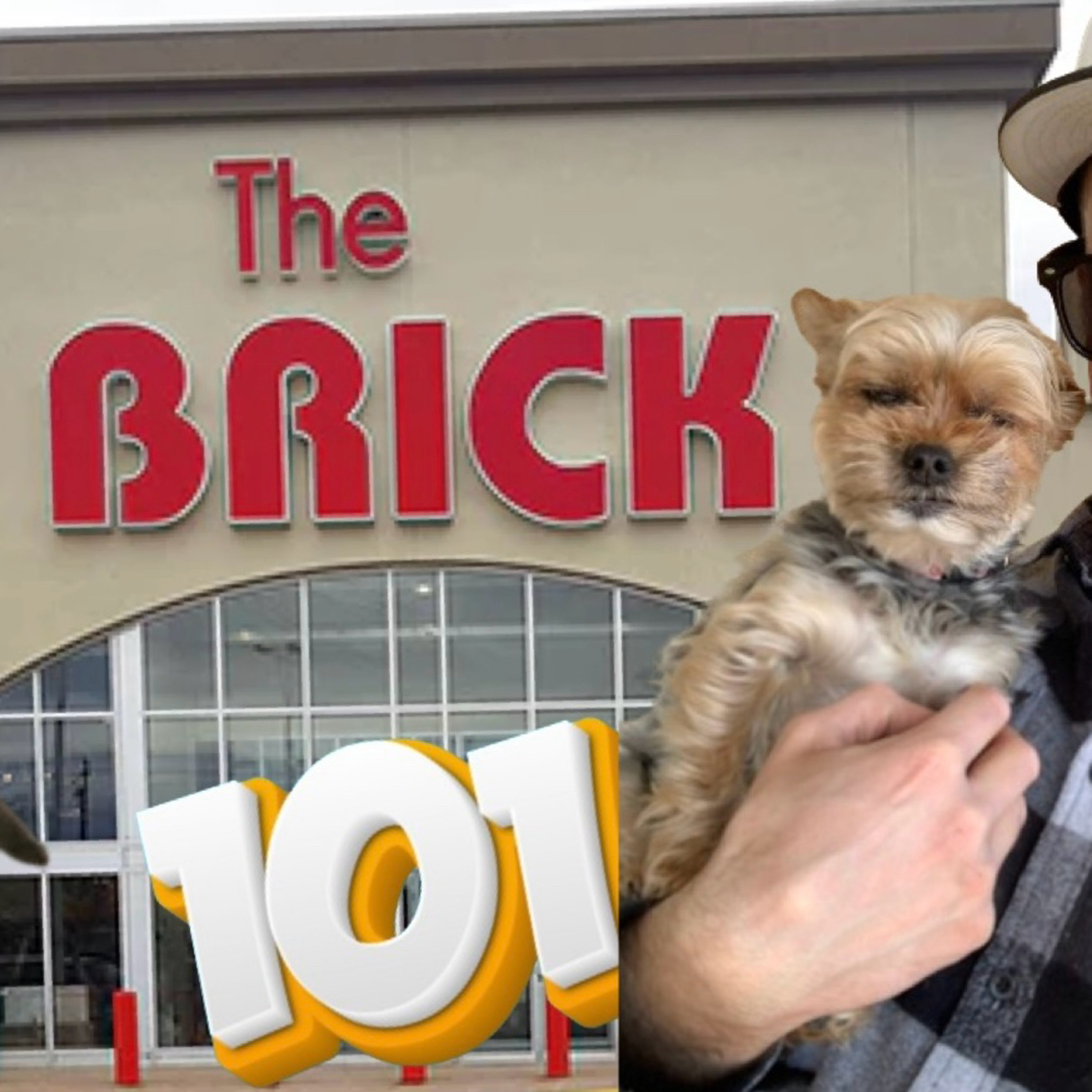 Ep101 - Not the Littlest Hobo 
