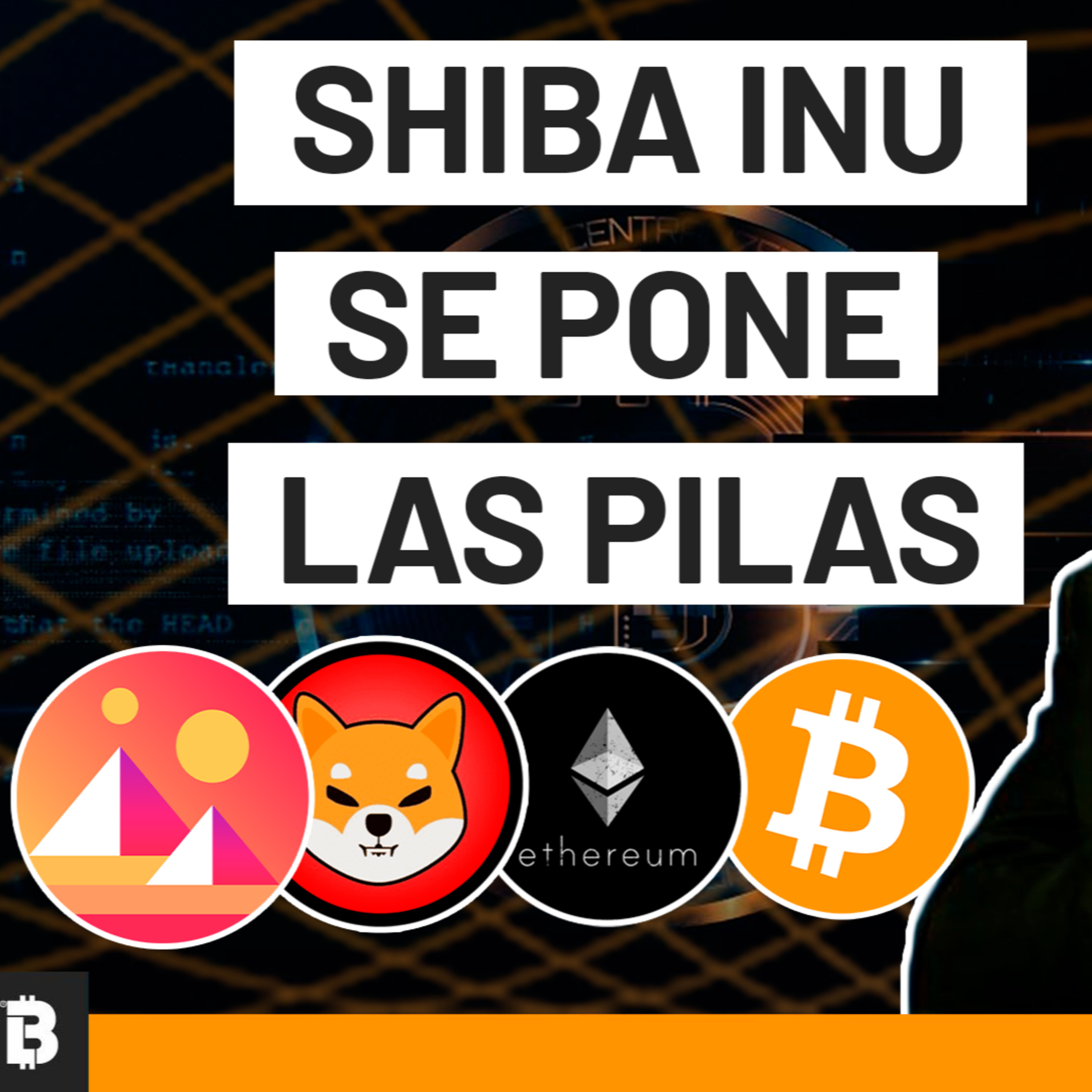 BitcoinerLand, Noticias sobre Bitcoin y el Mundo de las Criptomonedas.