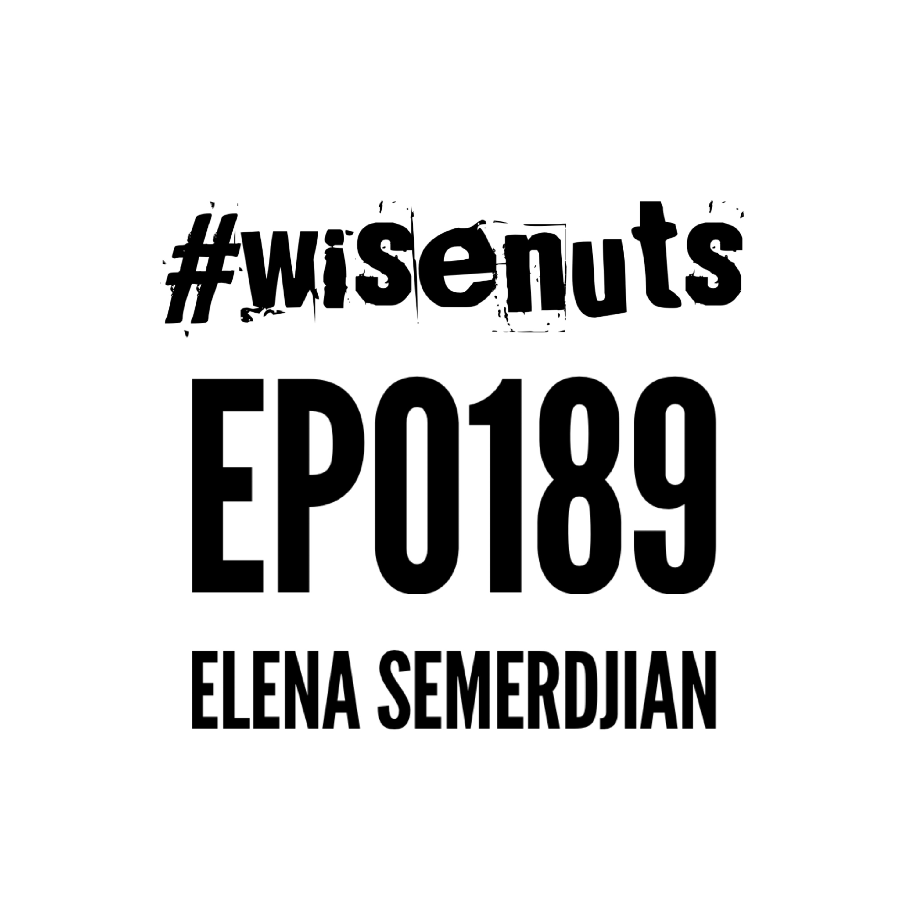 WiseNuts Podcast
