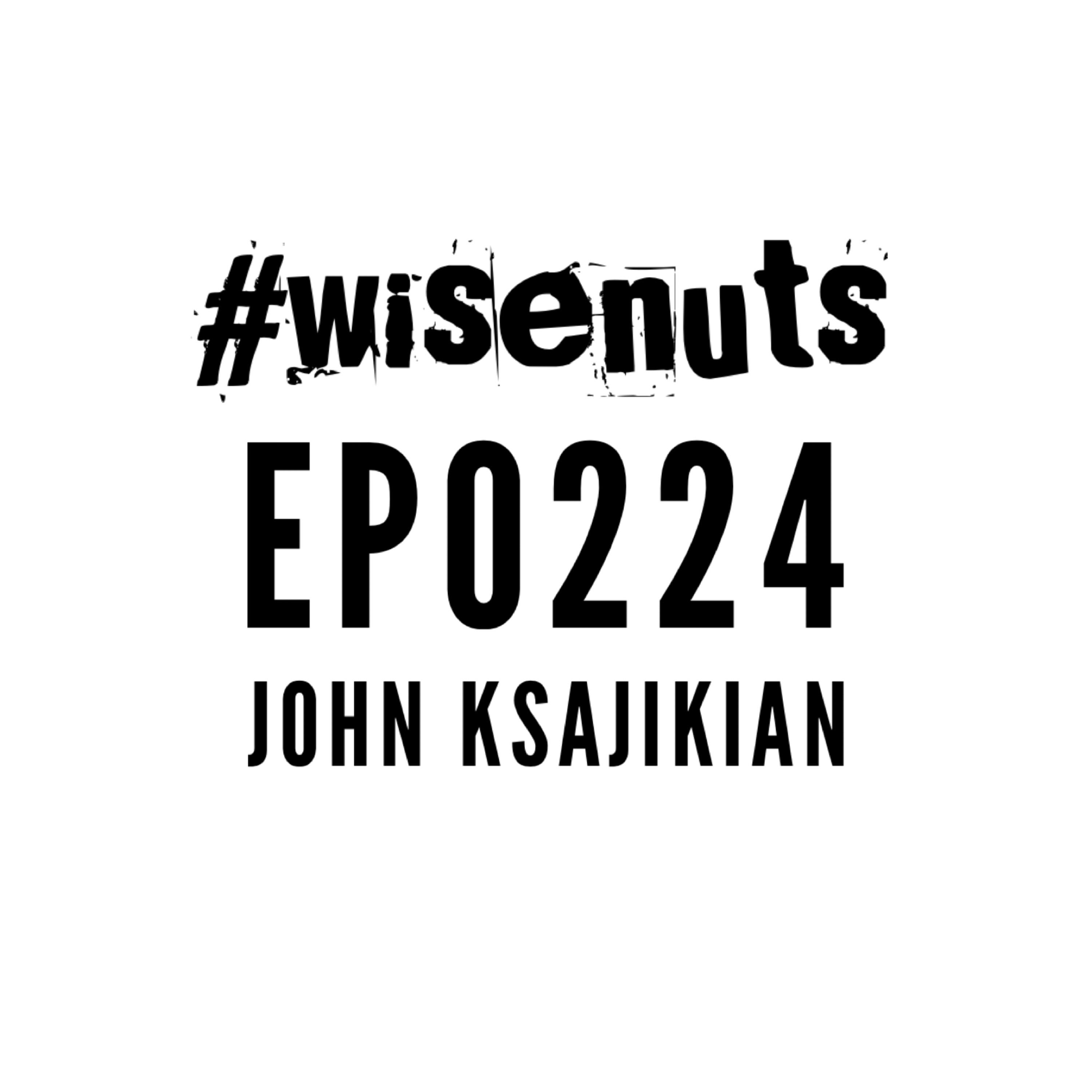 WiseNuts Podcast