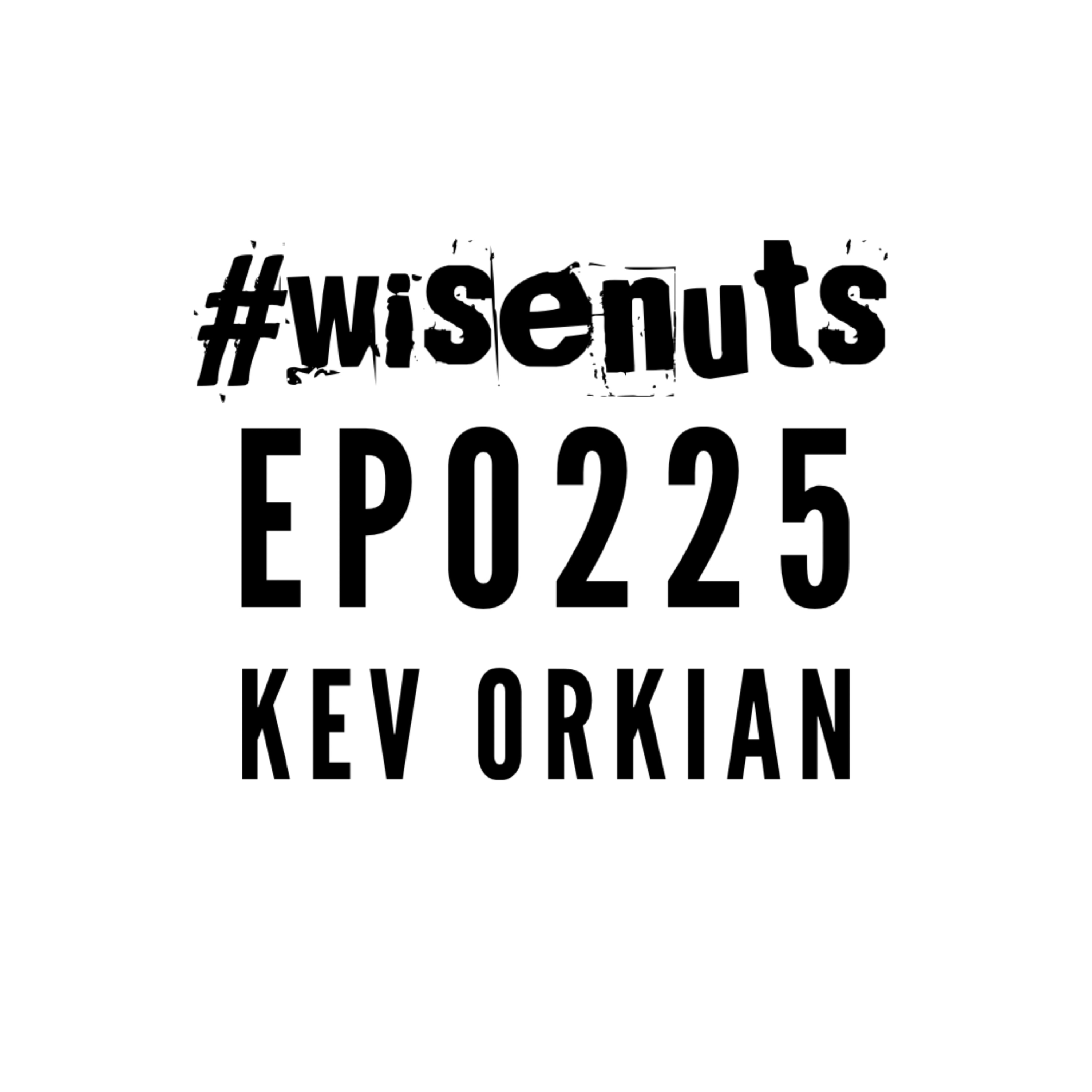 WiseNuts Podcast