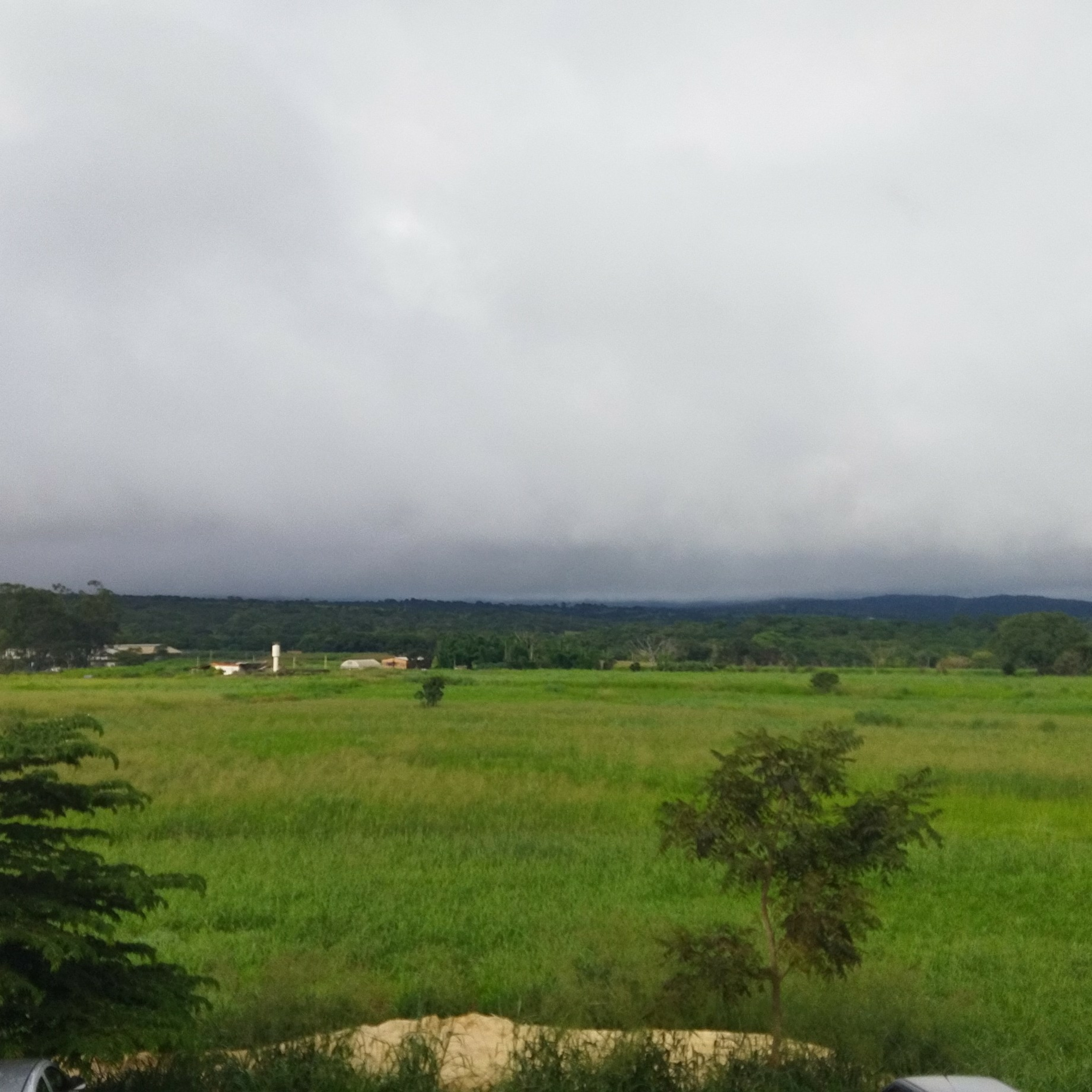 Epidemiologia no Talo!! Nova Temporada: Sua Saúde Mental me interessa.