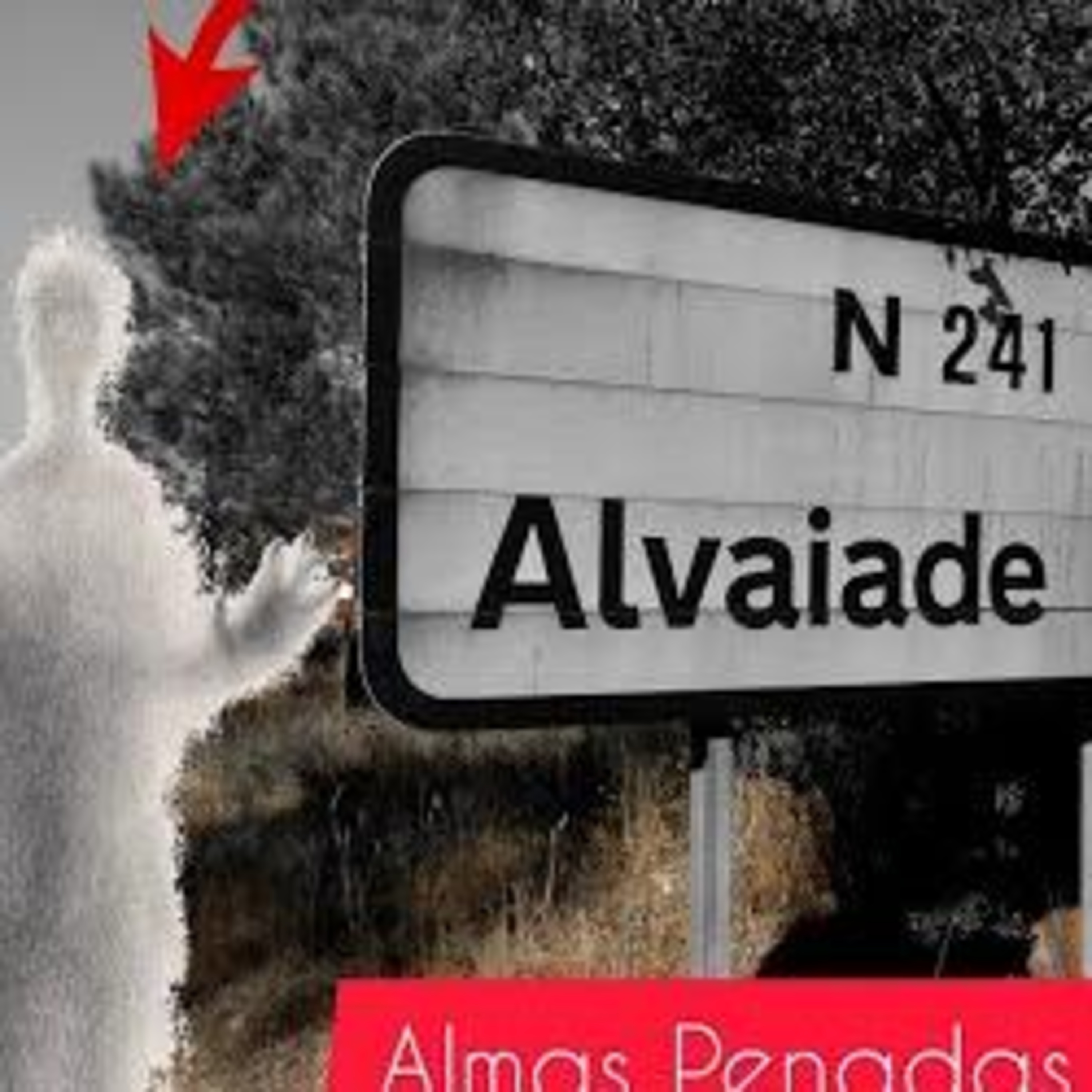 O Professor Incerto