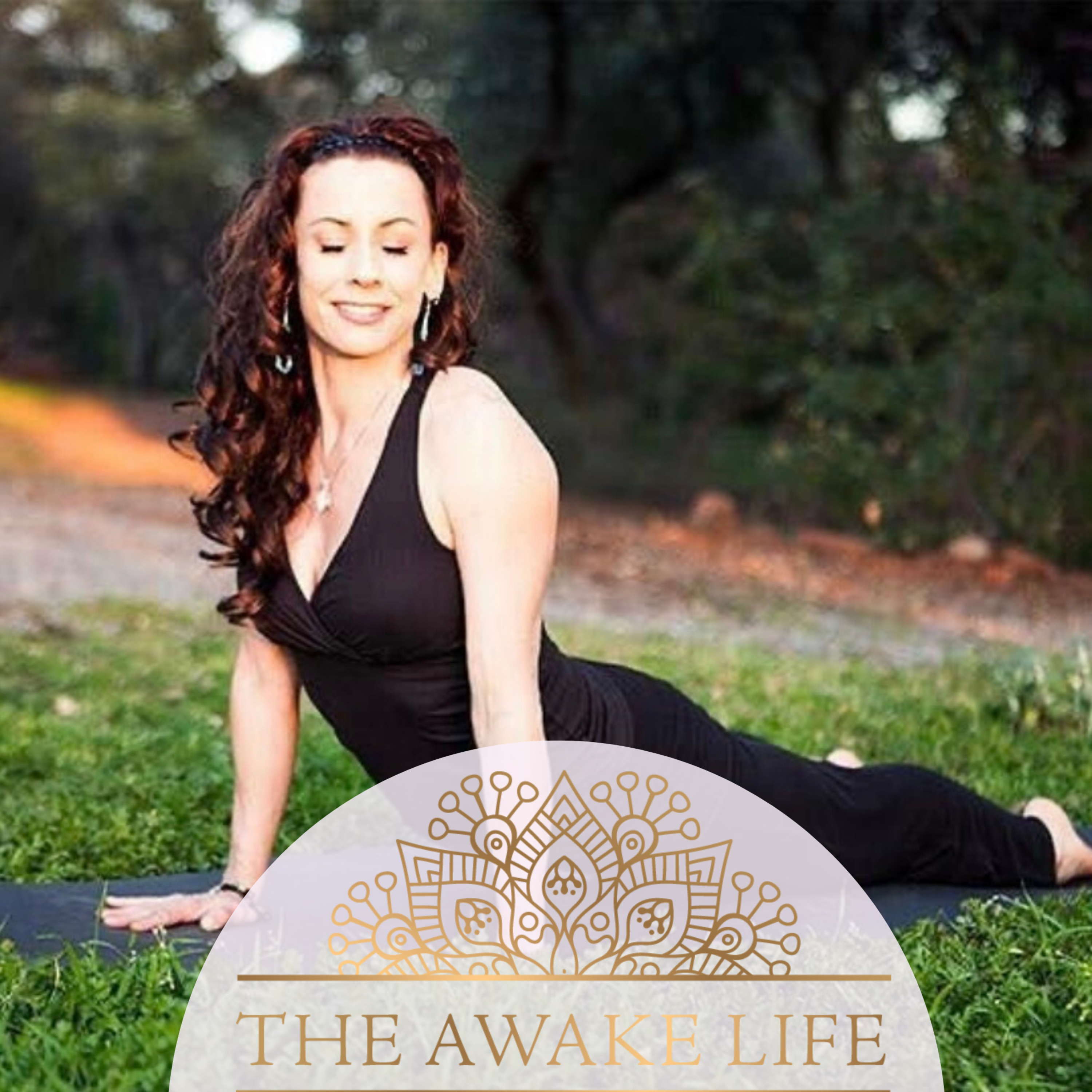 The Awake Life!