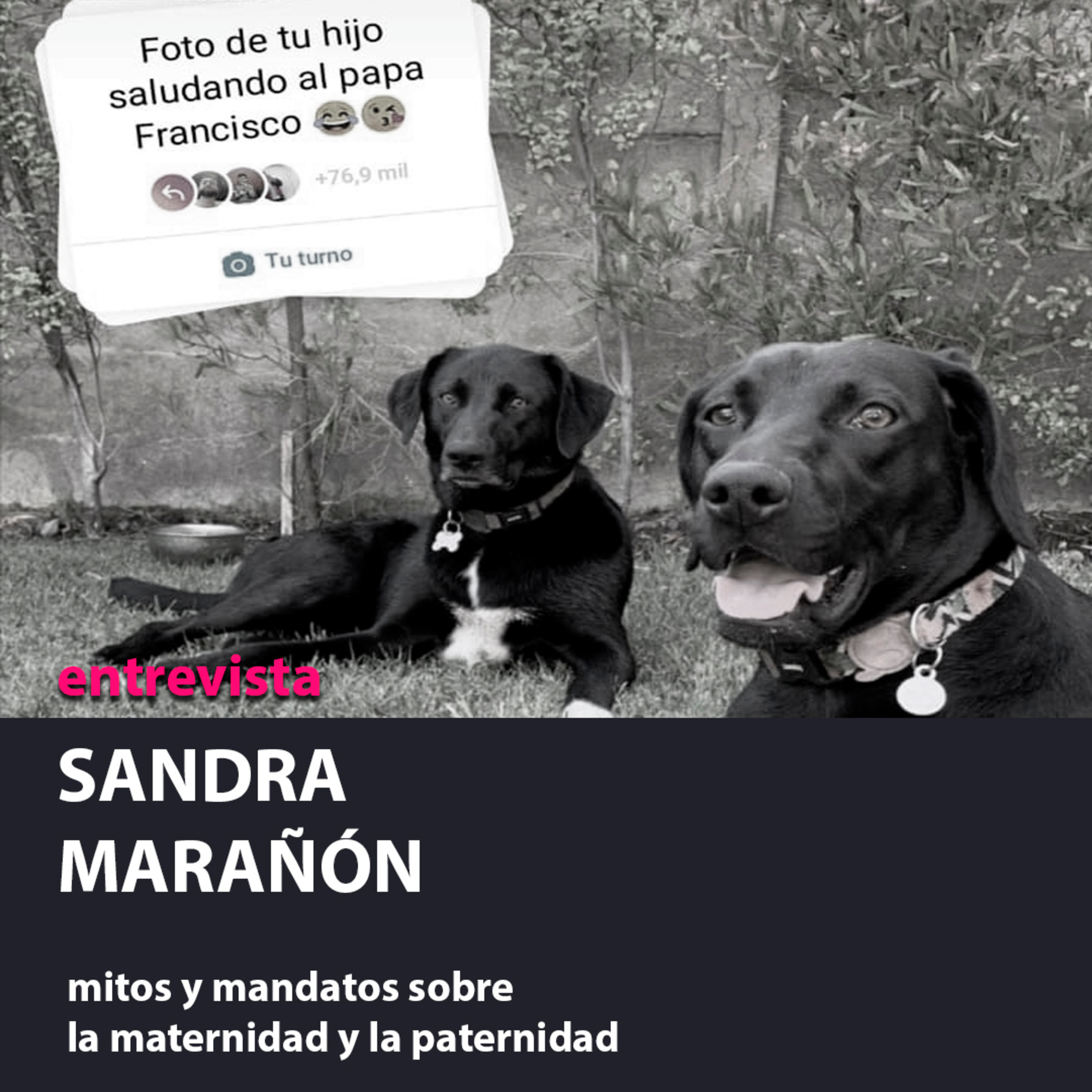 Técnicos en Periodismo