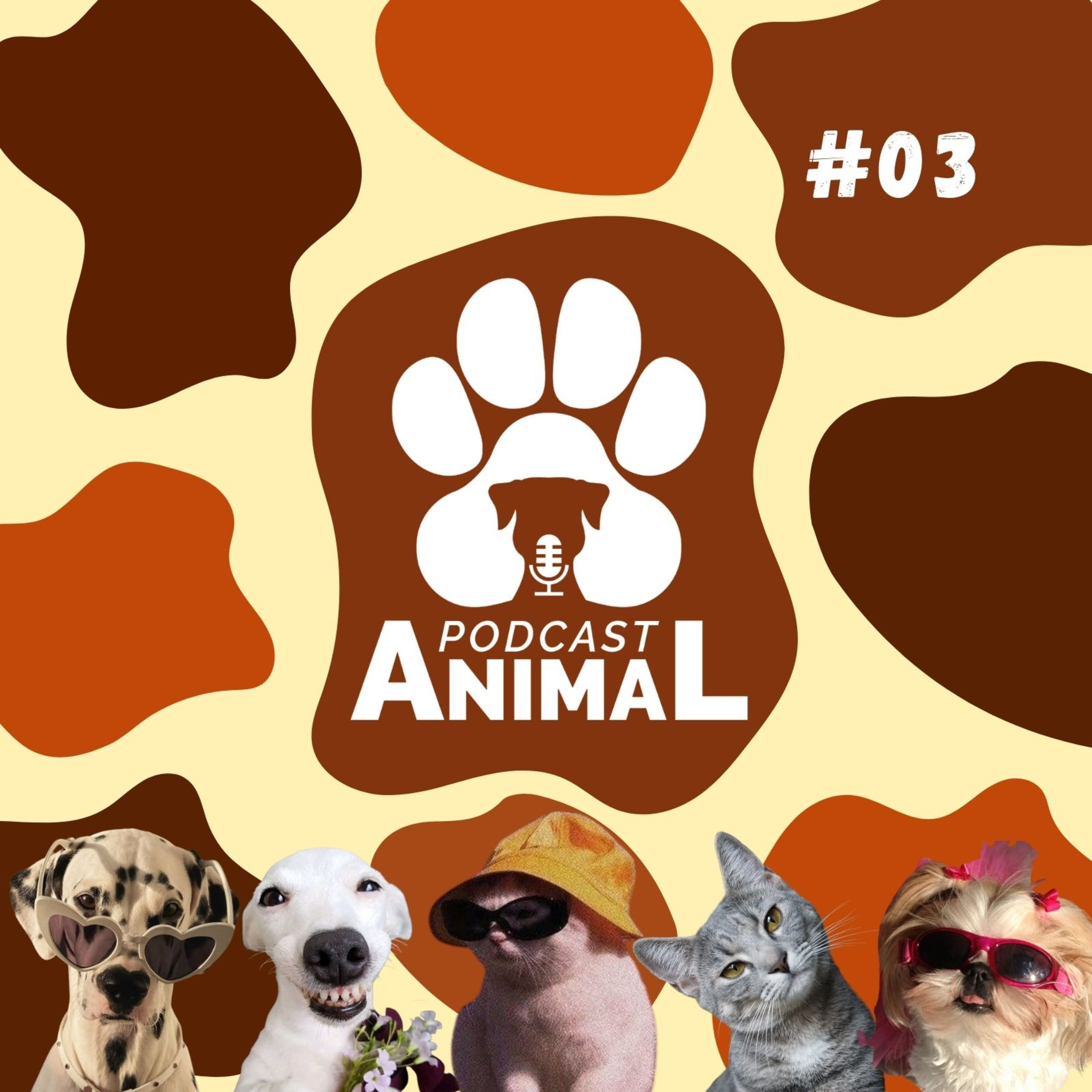 Podcast Animal