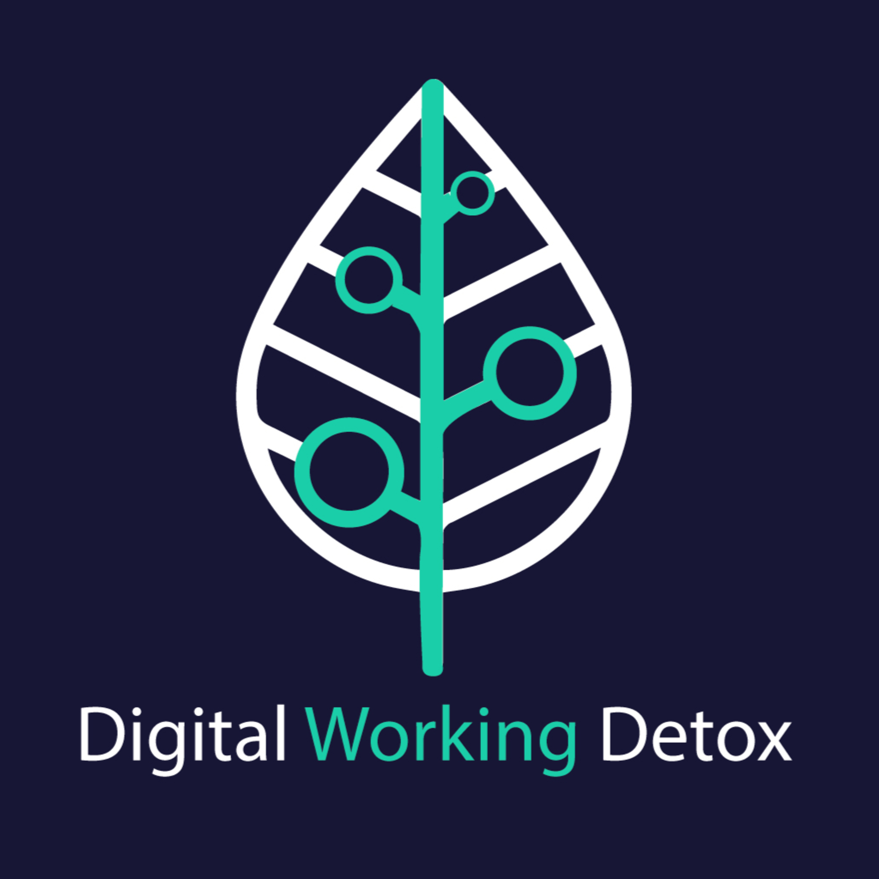 Digital Working Detox