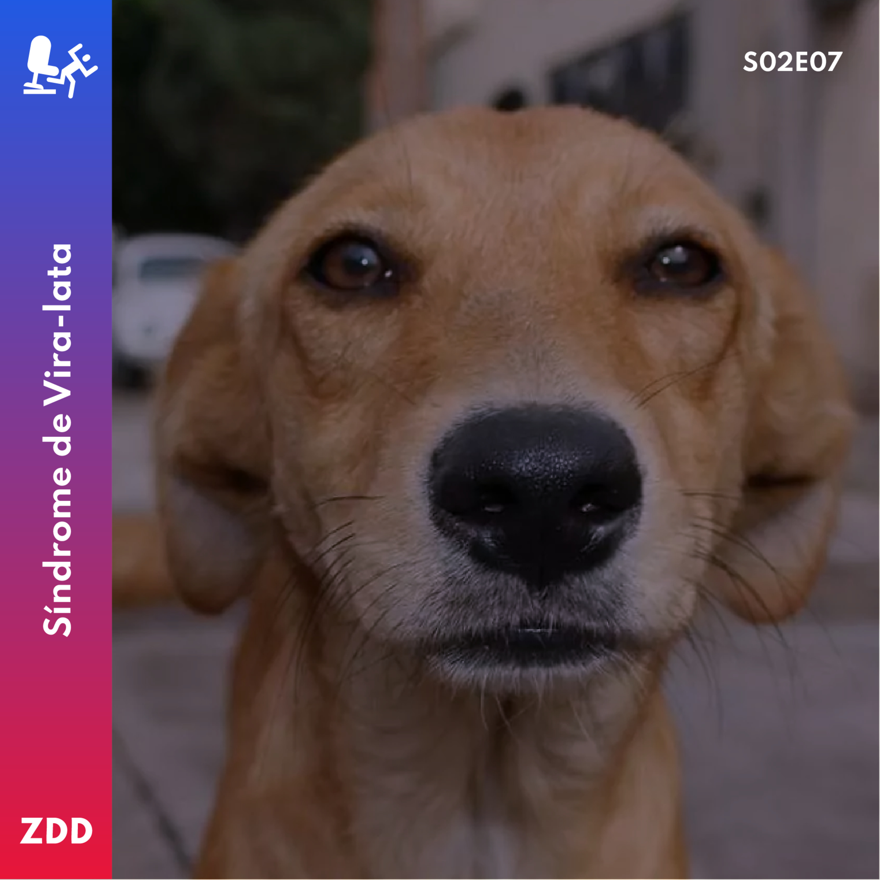 ZDDPODCAST
